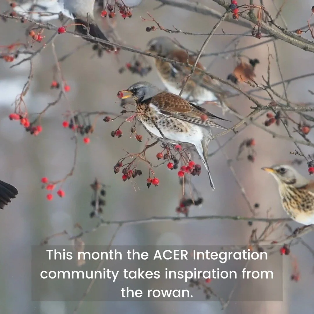 ACER Integration
