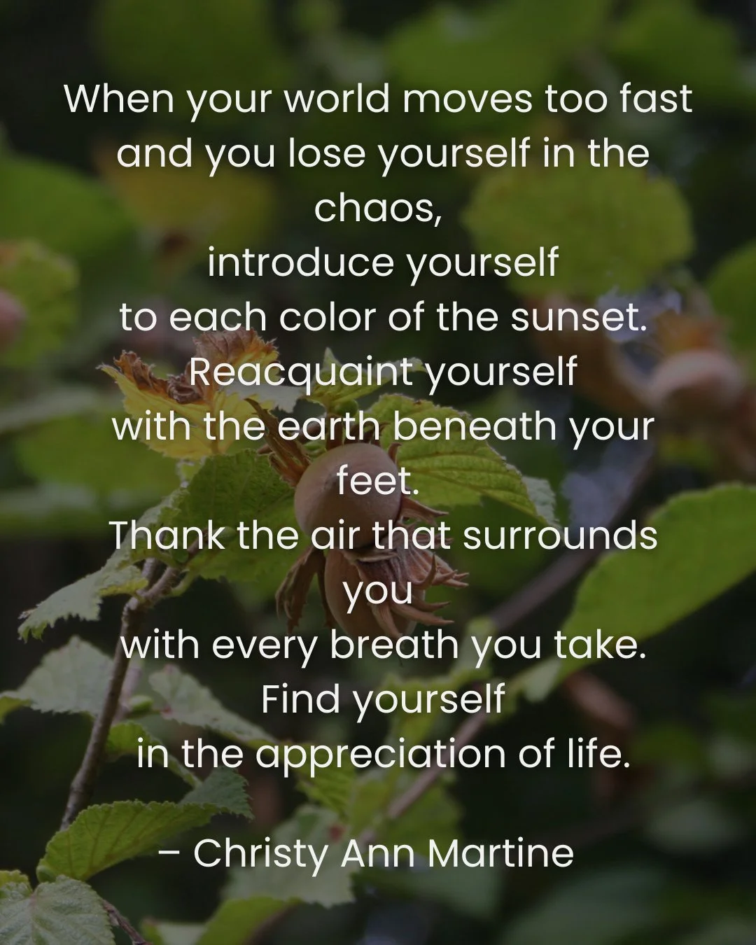 As we step into Hazel month, we&rsquo;re invited to pause, notice, and give thanks. ⁠
.⁠
Hazel reminds us that wisdom often lives in the small, everyday acts of presence &mdash; in the colours of a sunset, the ground beneath our feet, the breath that