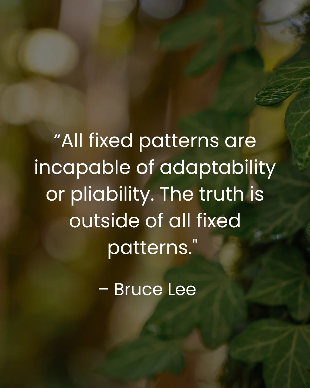 As we move through Ivy month in ACER, this reflection feels especially resonant. Ivy teaches us that what once supported our growth can, over time, become constricting if left unexamined. Its spiralling nature reminds us to stay flexible, to release 