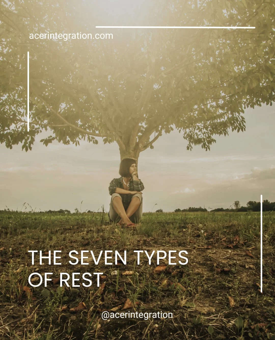 In ACER Integration, November is the month of the Yew. It's time to rest, release, and remember that stillness is part of growth. ⁠
.⁠
Rest is not one thing, but many forms of renewal. From physical to emotional, creative to spiritual, each type invi