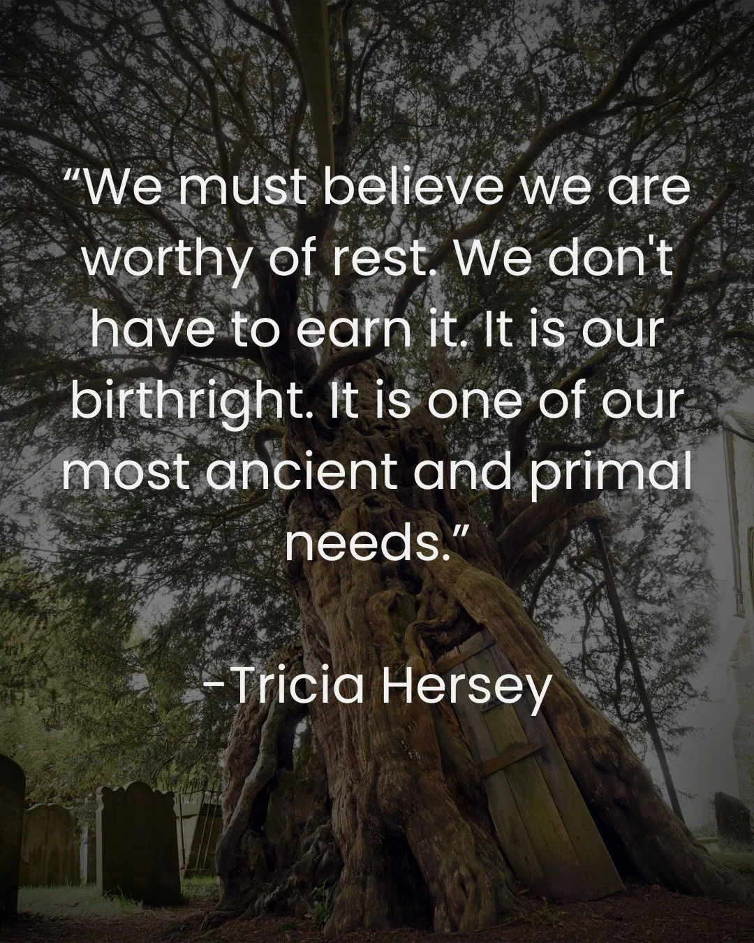 Tricia Hersey, founder of The Nap Ministry, teaches that rest is a radical act of resistance in a world that measures worth through productivity. Her work invites us to reclaim our time, our bodies, and our dreams from the demands of grind culture &m