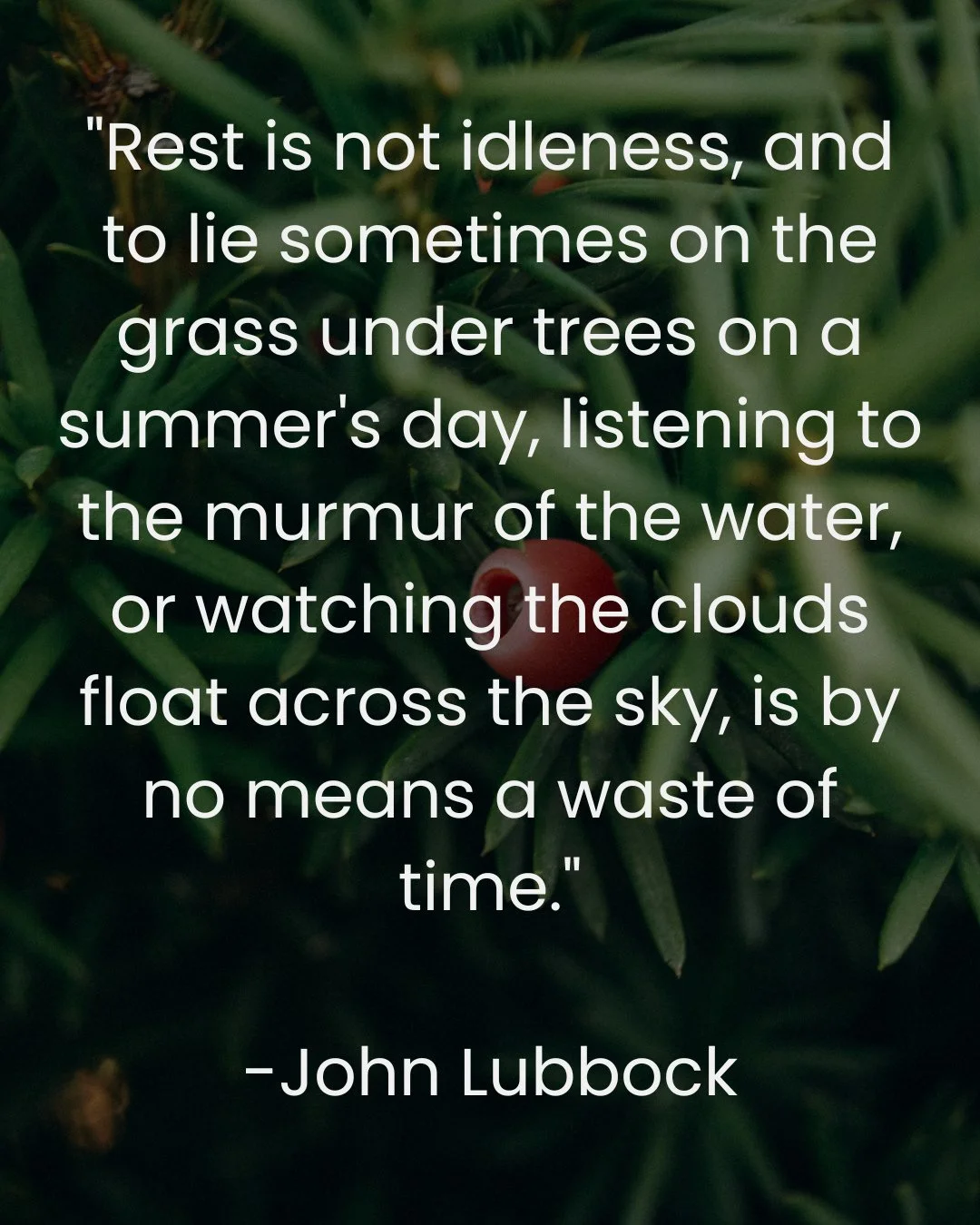 John Lubbock, a 19th-century naturalist and social reformer, reminded us that time spent in stillness and nature is not lost, but deeply restorative. His words invite us to reimagine rest as presence, and a way of tuning into the quiet intelligence o