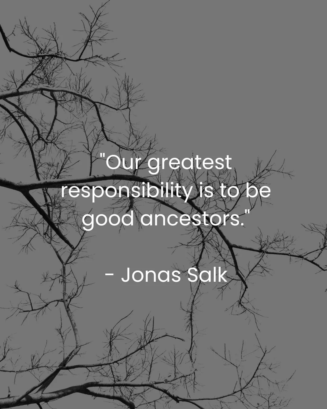 In Elder month we are invited to look at the lineage we come from and the lineage we are shaping. This teaching from Jonas Salk feels especially alive right now. Our greatest responsibility is to be good ancestors, to tend the gifts we carry and tran