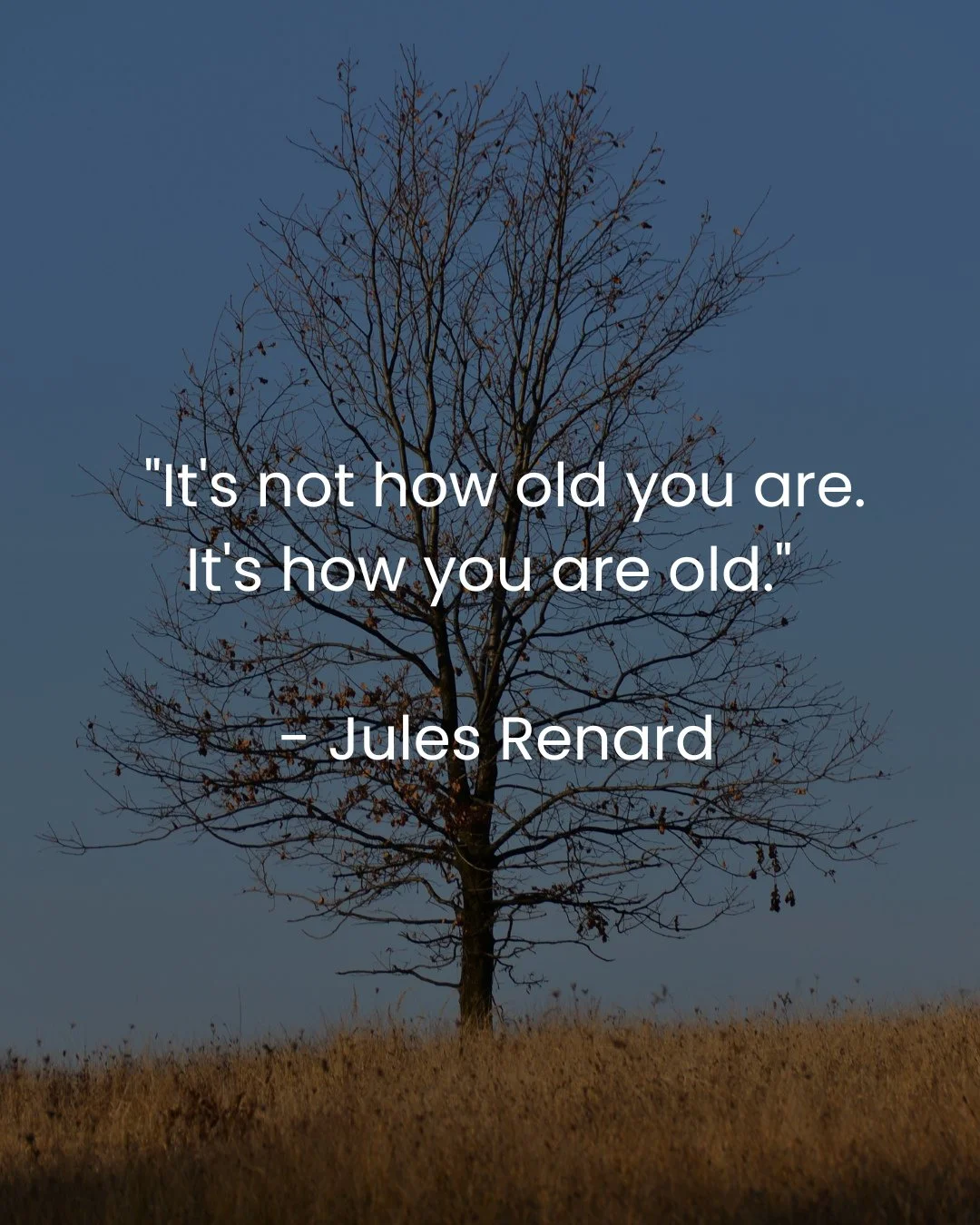 This reflection from Jules Renard speaks beautifully to Elderhood. It is not how old you are, it is how you are old. Elder season invites us to consider the quality of our presence and the legacy we are shaping.⁠
.⁠
#acerintegration #elder #eldertree