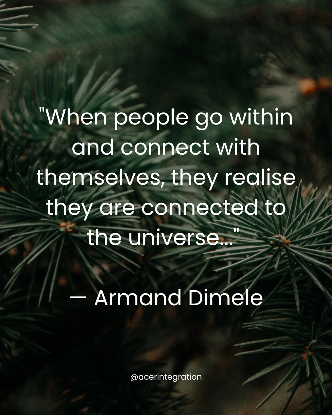 The Douglas fir reminds us that interconnectedness is not always outwardly visible. Much of this giant tree&rsquo;s strength comes from deep roots, mutual support, and cooperation with other trees through the underground mycelial network.⁠
.⁠
Armand 