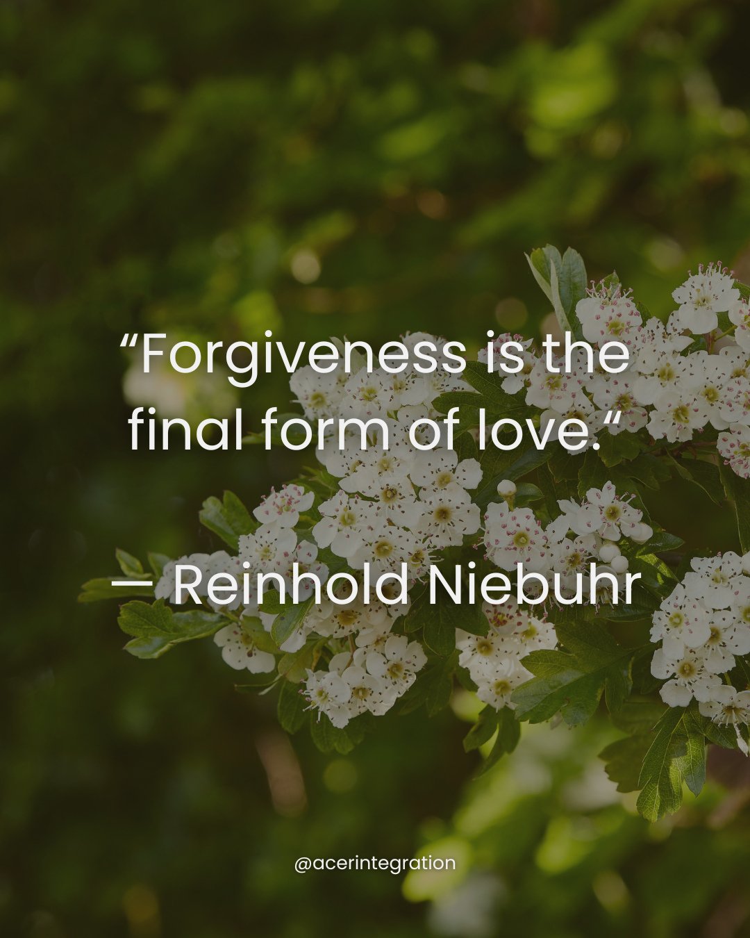 This month in ACER, we&rsquo;re walking with the Hawthorn and exploring the complex, tender terrain of forgiveness.⁠
.⁠
The Hawthorn teaches us that forgiveness is not about removing the thorn. It is about learning how softness, protection, grief, lo