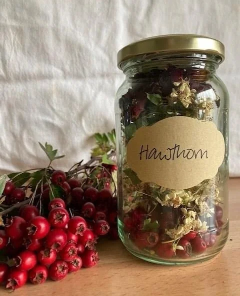 In ACER Integration we encourage each other to make contact with the month's tree if we can. Many community members have become alchemists and have created all sorts of goodies from the trees they've encountered. ⁠
.⁠
Here's a simple recipe for Hawth