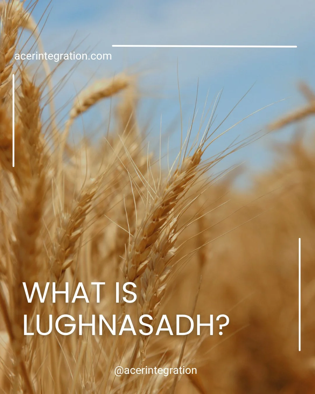 Lughnasadh: Honouring the First Harvest - August 1⁠
.⁠
Within the ACER Integration community, we are fortunate to receive teachings on each festival of the Eightfold Wheel of the Year from @philipcarrgomm, former Chosen Chief of the Order of Bards, O