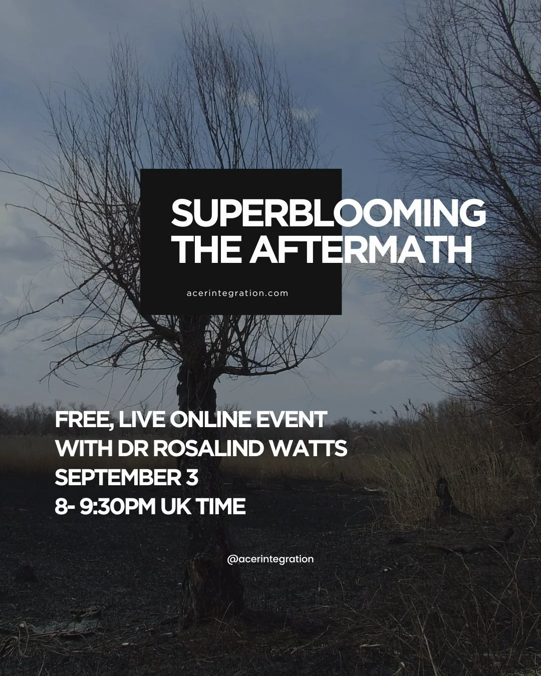 Join us online September 3rd for Superblooming the Aftermath with @acerintegration founder, @drrosalindwatts. A special ACER gathering for anyone feeling the weight of these difficult times. ⁠
.⁠
Together, we&rsquo;ll experience a tree journey and wa