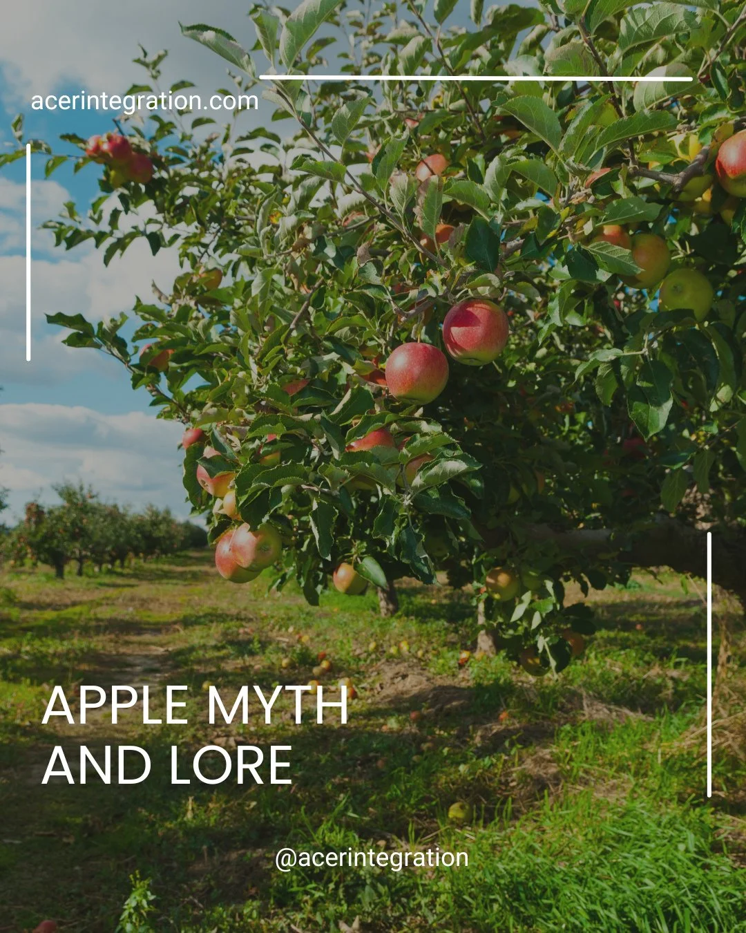 Few fruits carry quite so much story.⁠
.⁠
Across cultures and centuries, it has been associated with knowledge, love, healing, abundance, immortality and the threshold between worlds.⁠
.⁠
But perhaps one of the most beautiful things about an apple is