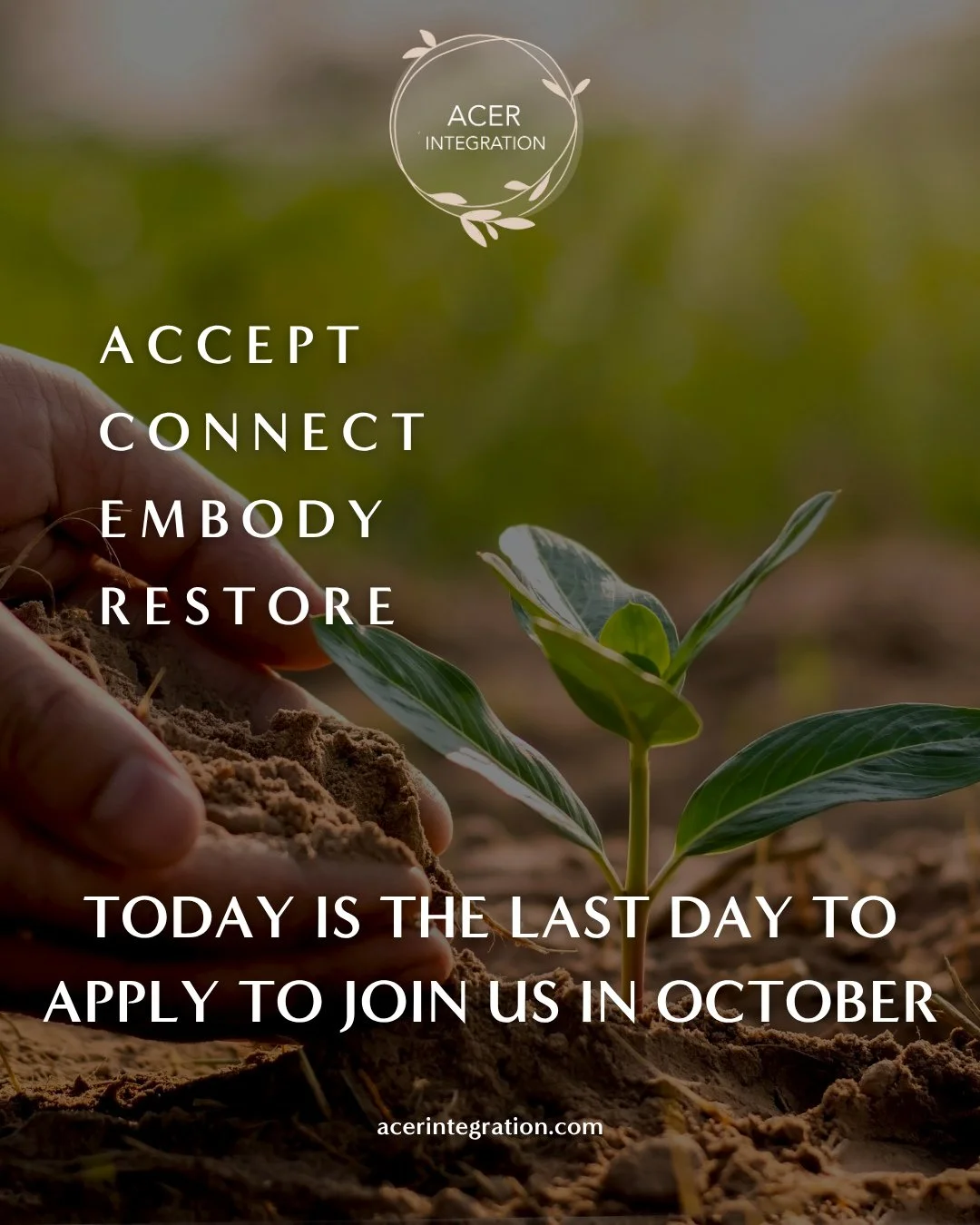 Today is the final day to apply to join ACER Integration this October.⁠
.⁠
If you&rsquo;ve been thinking about joining us, wondering whether ACER might be the right space for you, or simply waiting for the right moment to take the next step, this is 