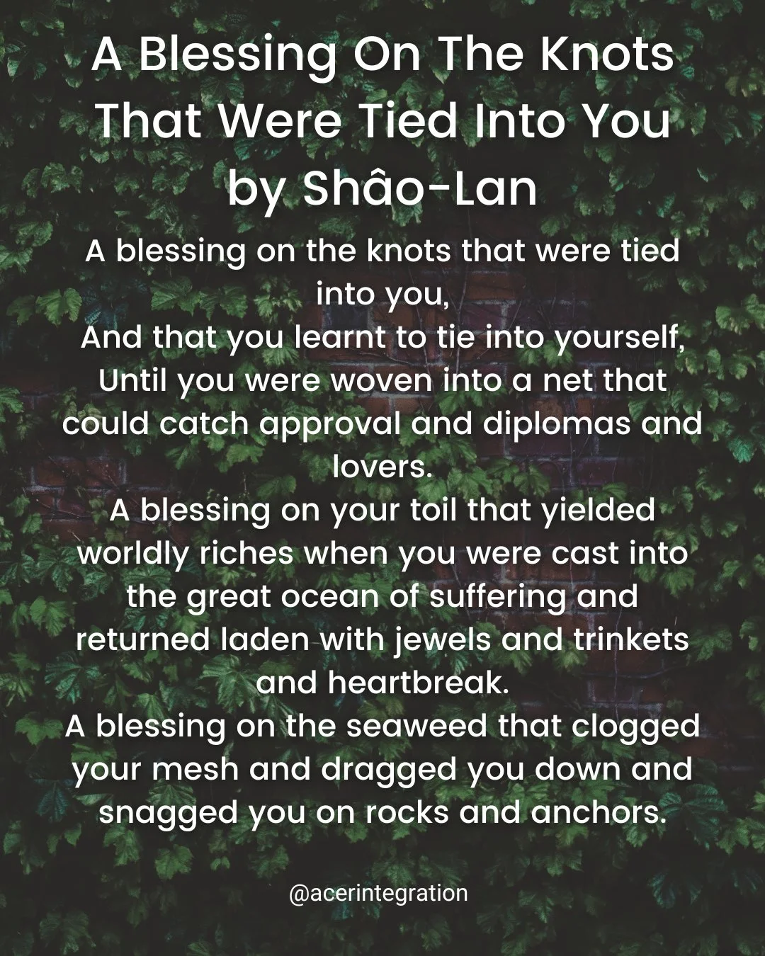 This beautiful poem by Sh&acirc;o-Lan, shared by one of our community members, is perfect for the month of ivy. ⁠
.⁠
It reminds us that letting go can feel unsettling, even when we're moving towards greater freedom. We can honour the ways we've survi