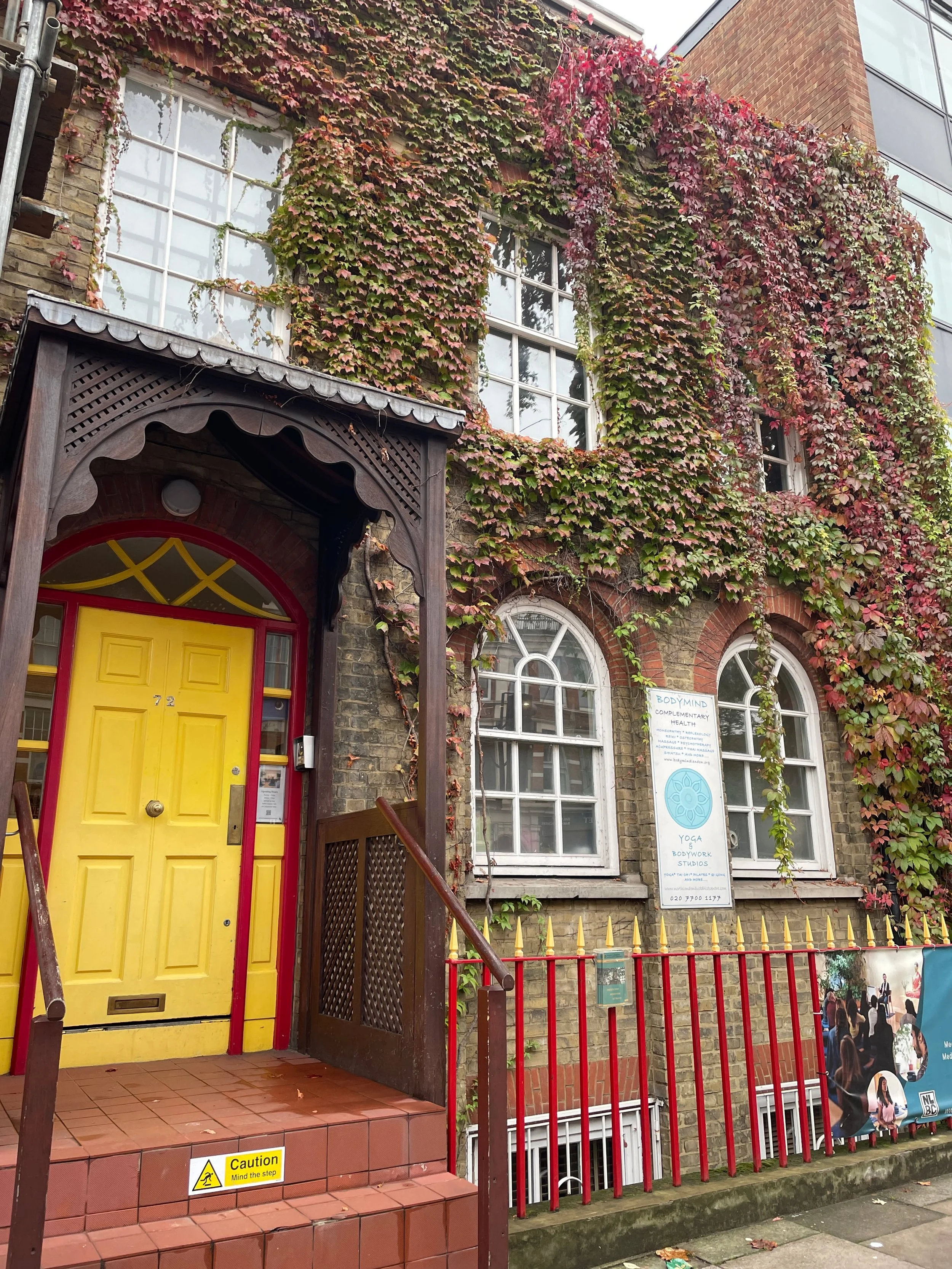I couldn't help but stop and admire the colours of the ivy growing on this building. 
.
Ivy finds its way through urban spaces, climbing walls, framing windows, and adapting to the structures around it. It can be a beautiful reminder of how we grow i