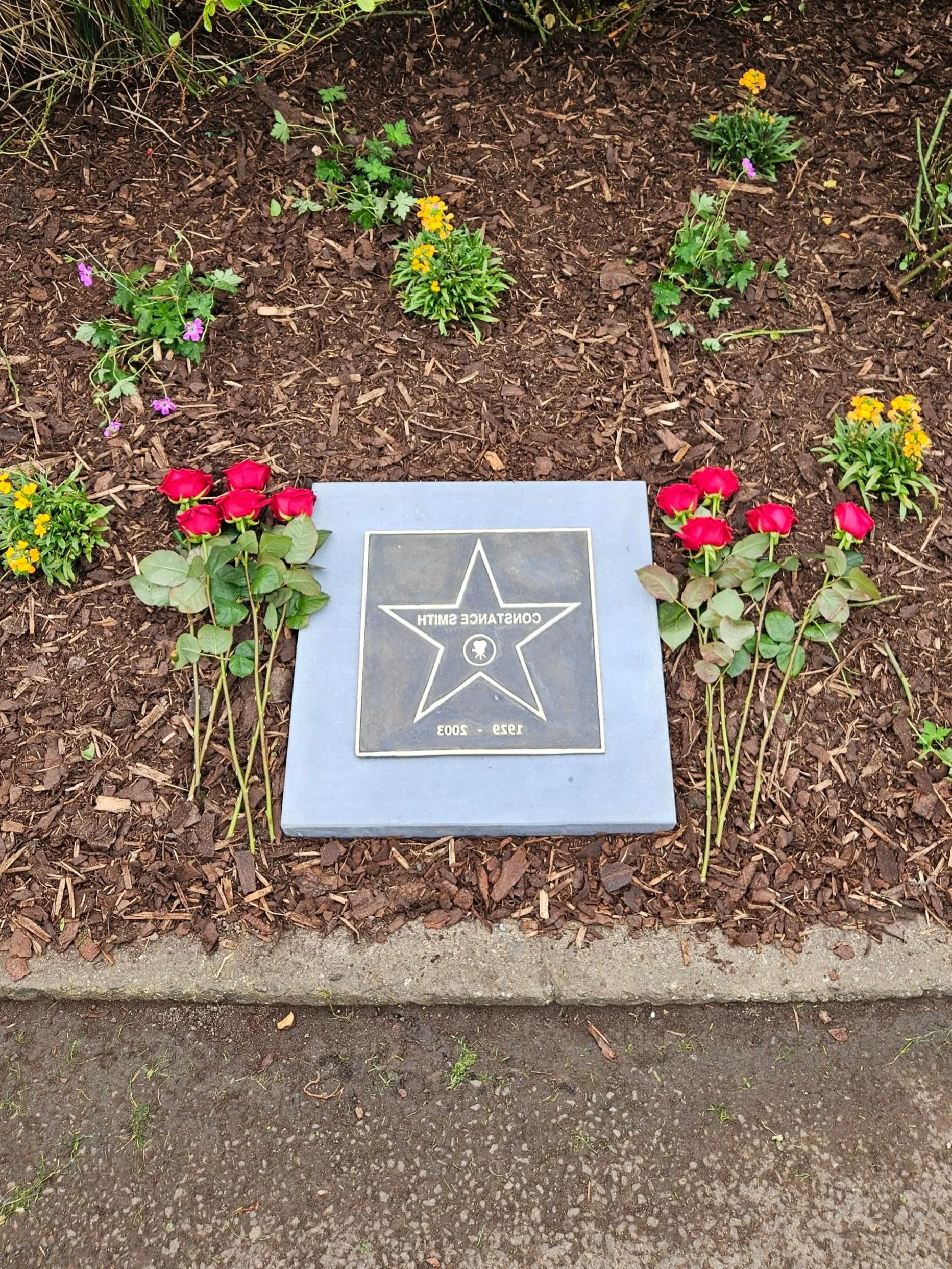 A Star For Connie