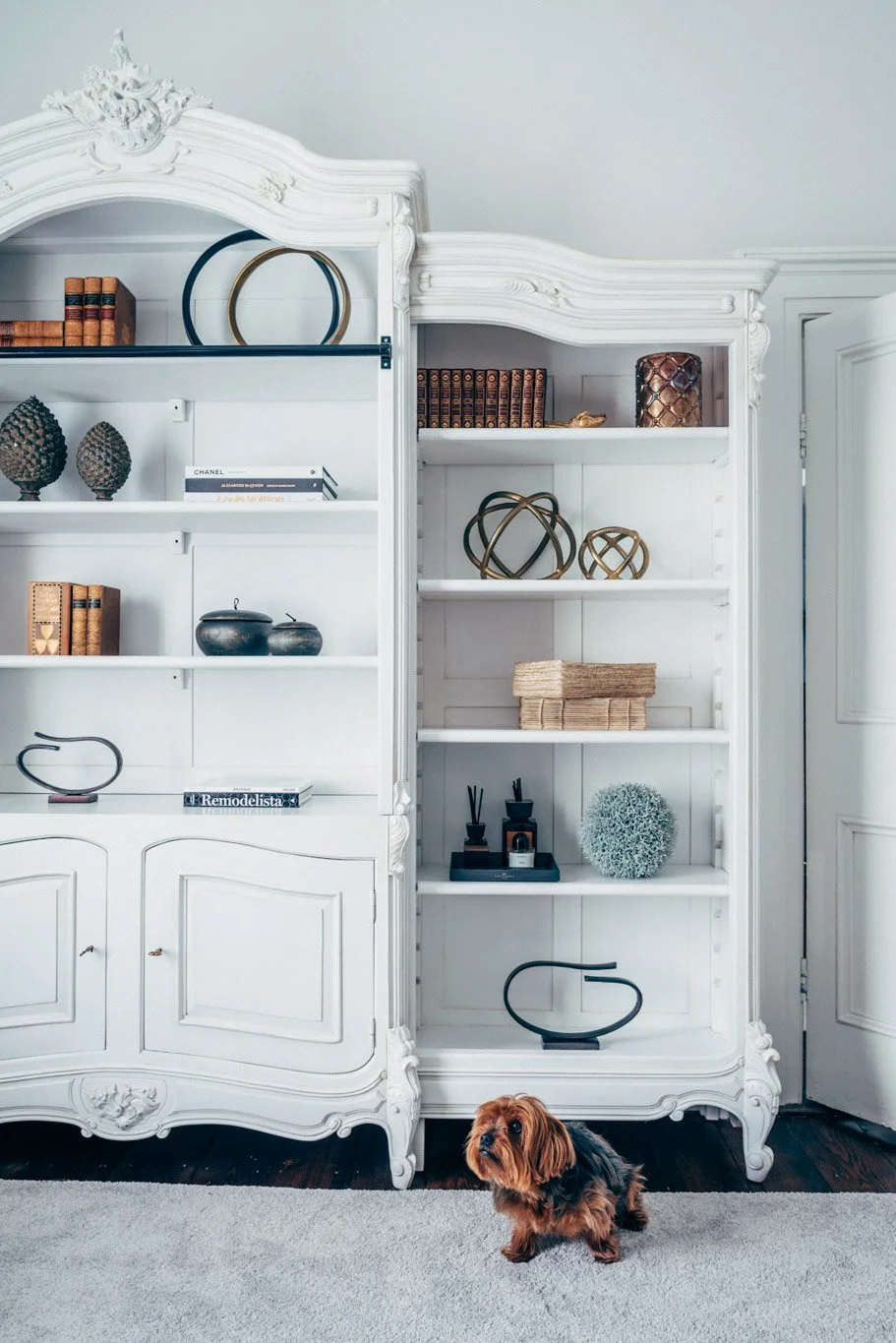 traditional cabinetry unit with small dog 