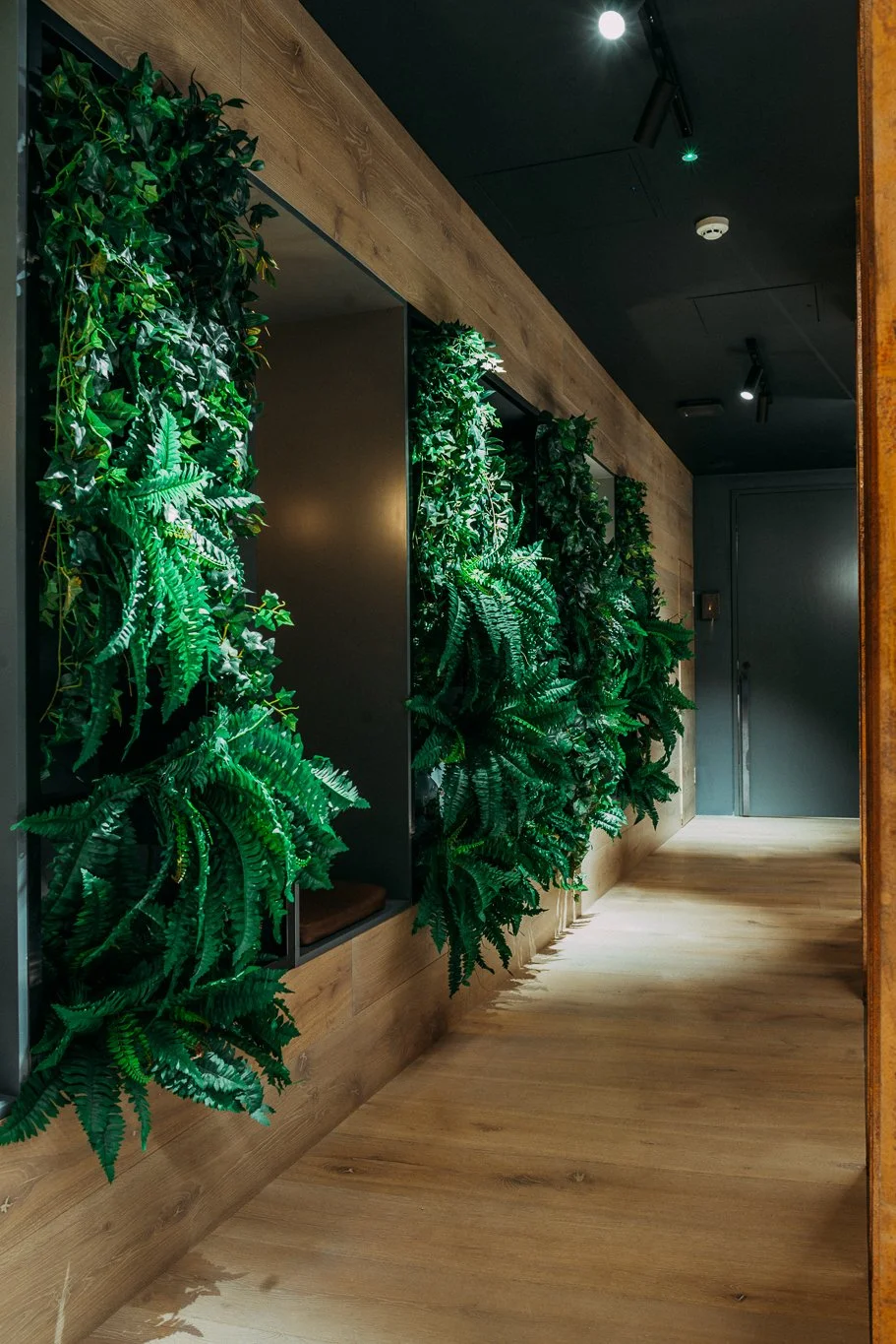 greenery in a hallway for a beauticians
