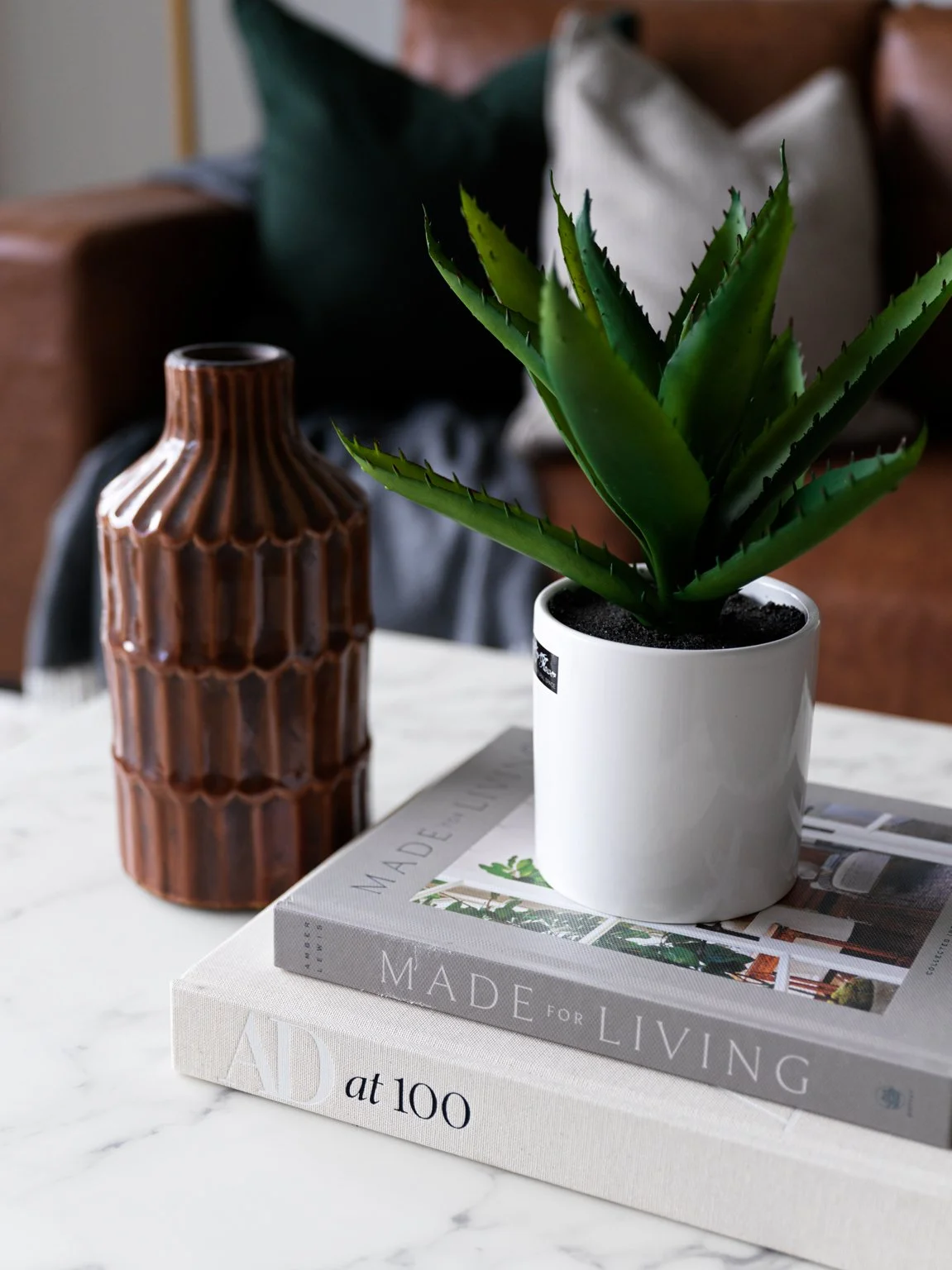 detail shot of small plant and design books
