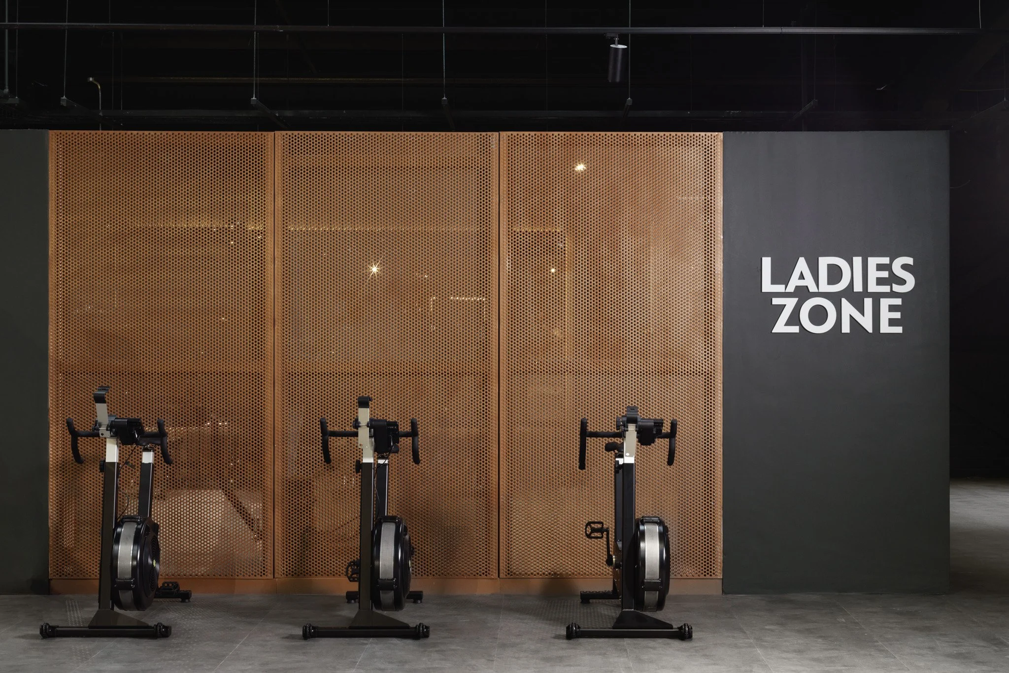 Ladies Gym.jpg