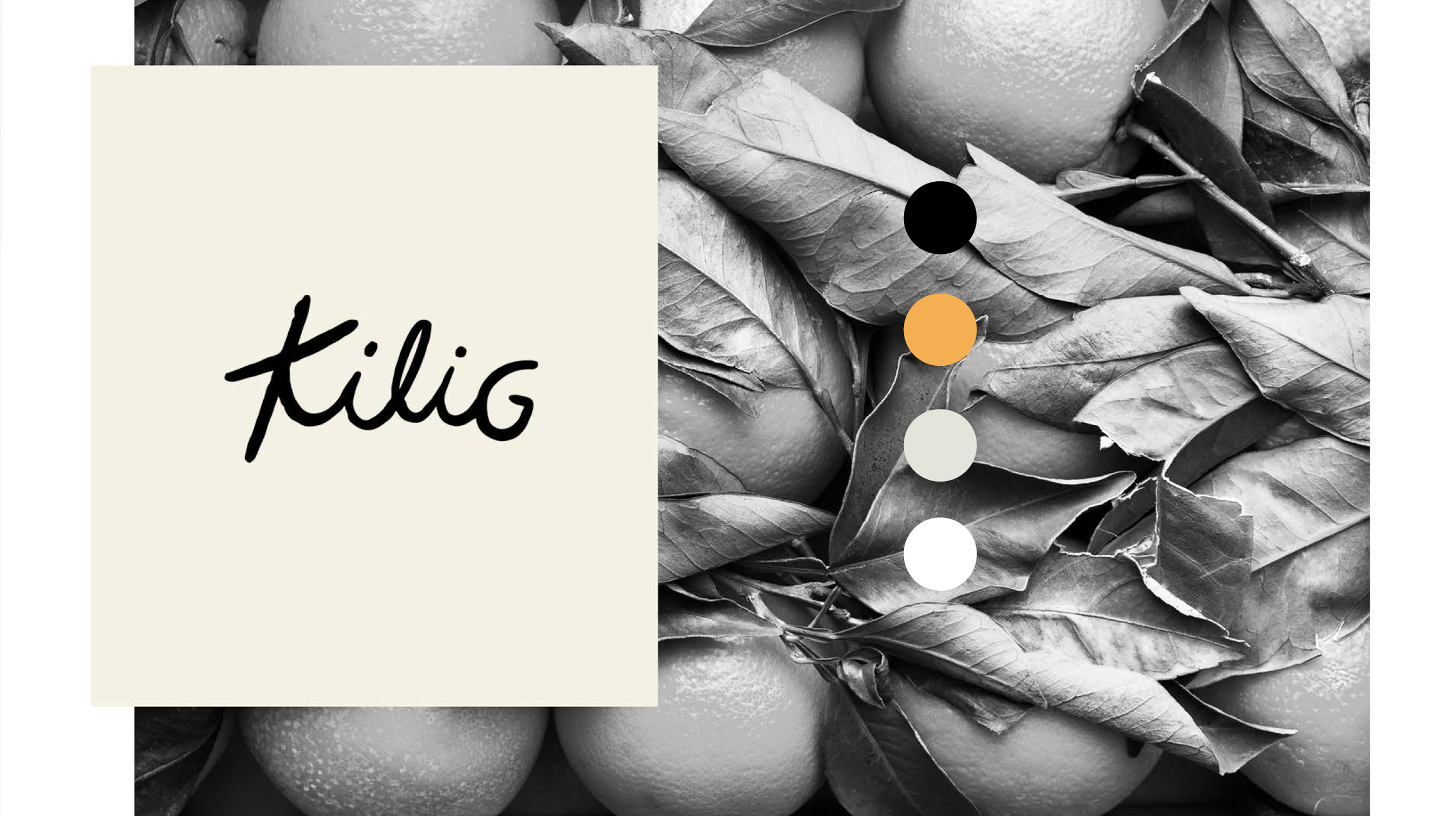 Screenshot 2026-04-20 at 14.25.39.png