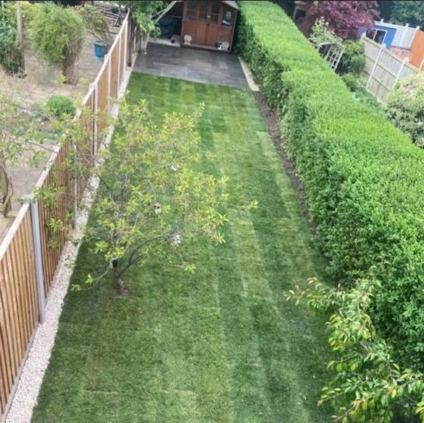 Backyard with a freshly mowed lawn, trees, shrubs, a wooden fence, a shed, and a small patio area.
