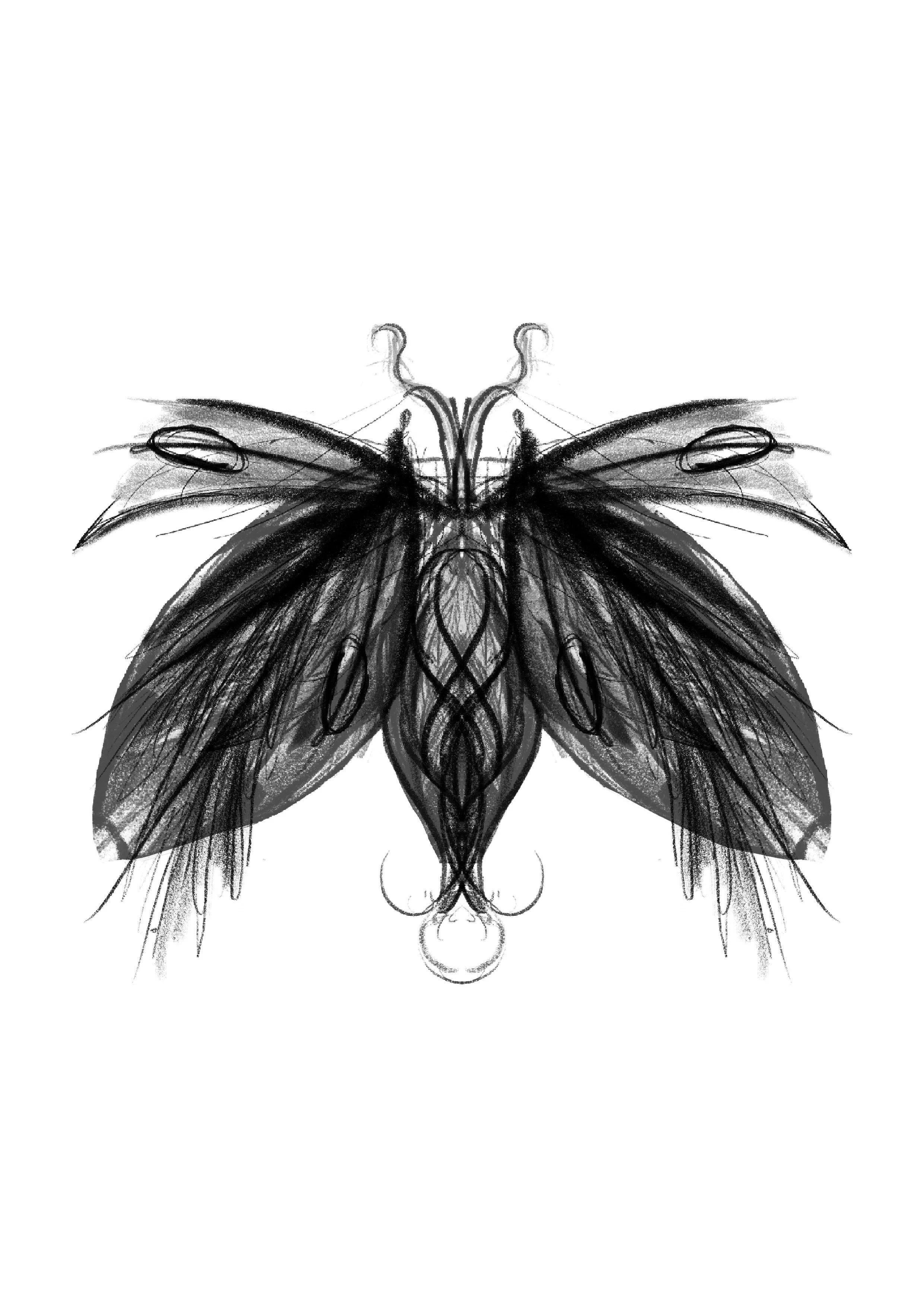 Untitled_Artwork 86.jpg