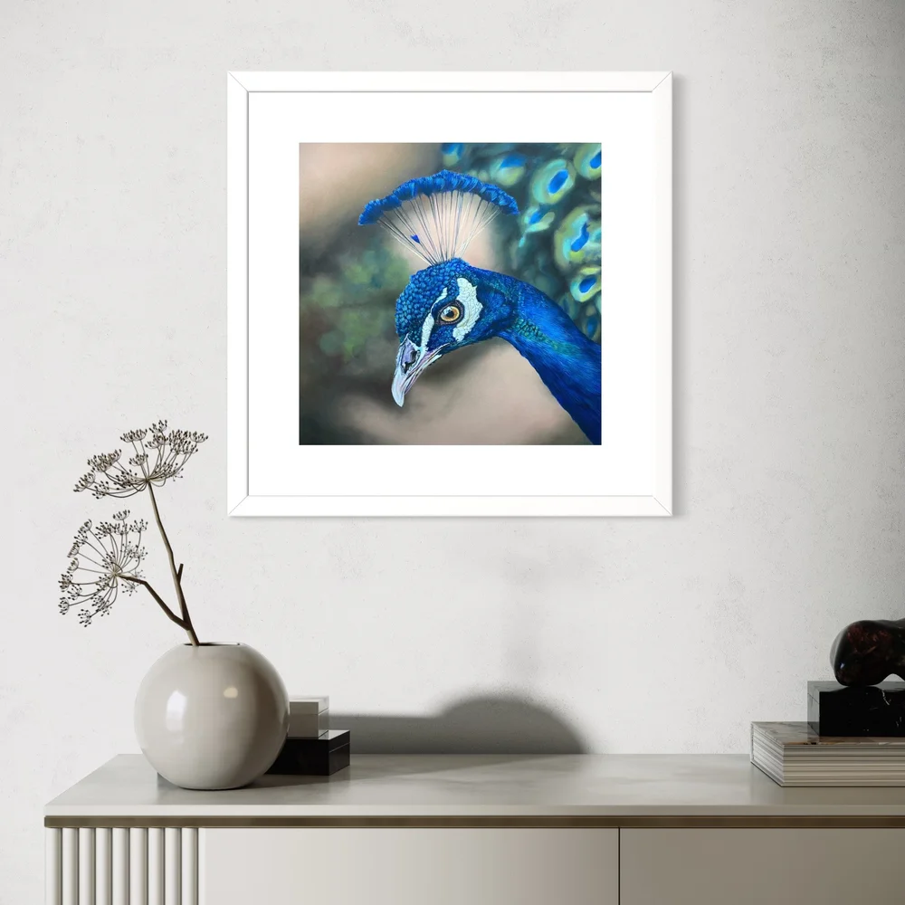 Peacock II Limited Edition Print — Tricia Findlay Fine Art
