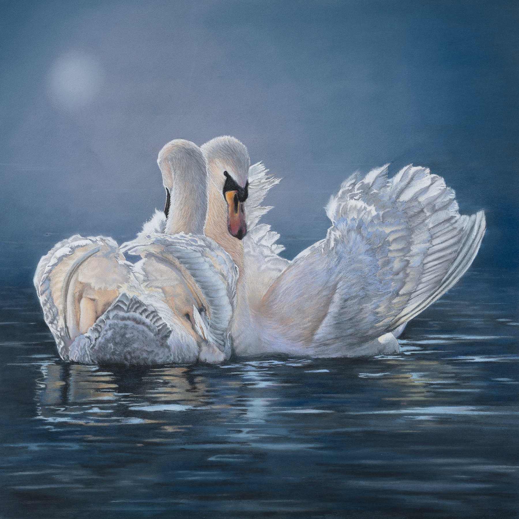 Swans Devotion small.jpg