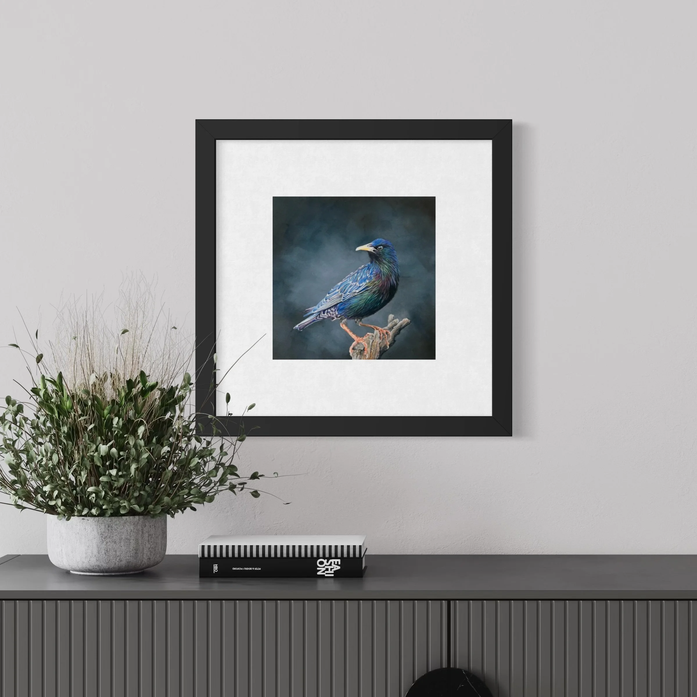 Starling - Original
