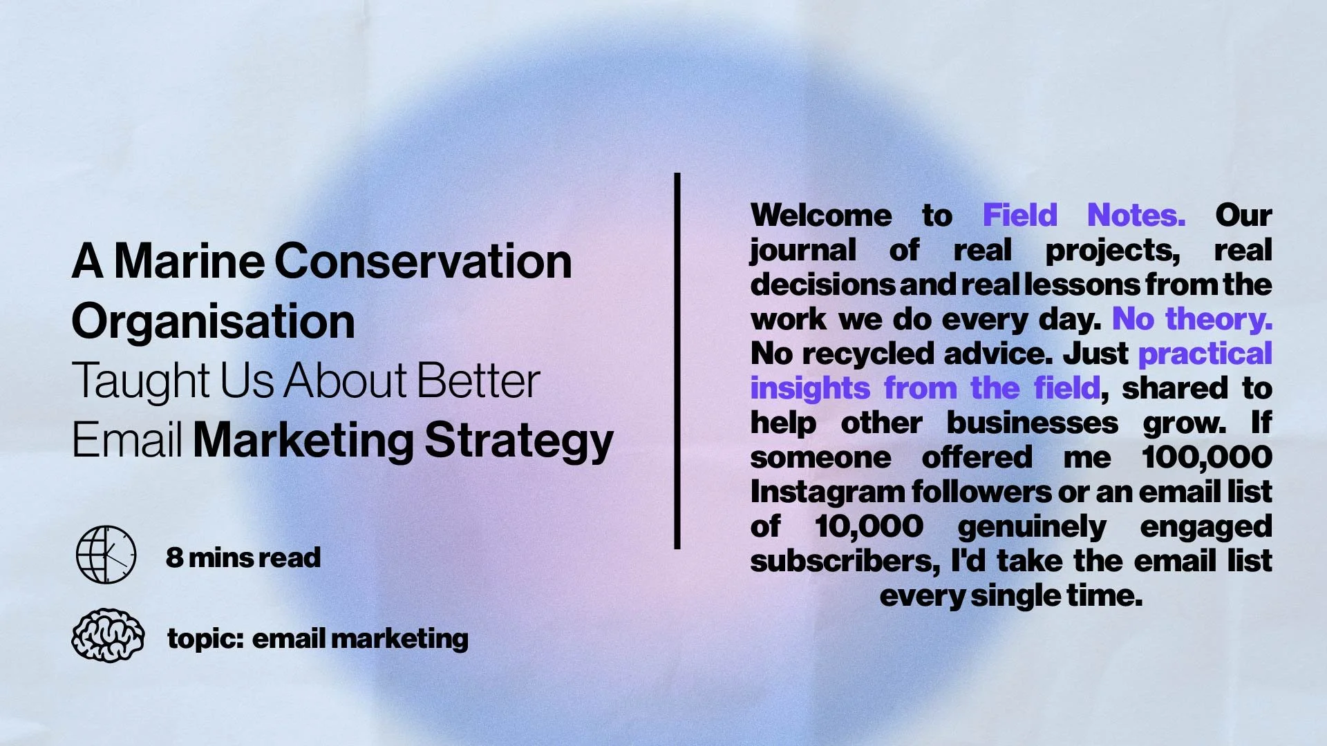 What a Marine Conservation Organisation Taught Us About Better Email Marketing Strategy