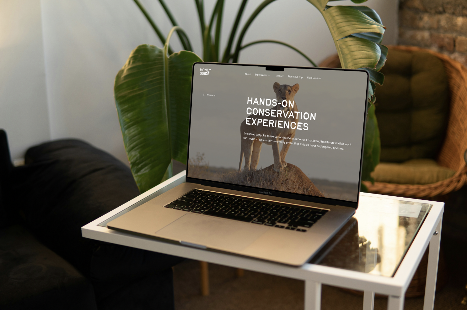 Honey Guide Experiences