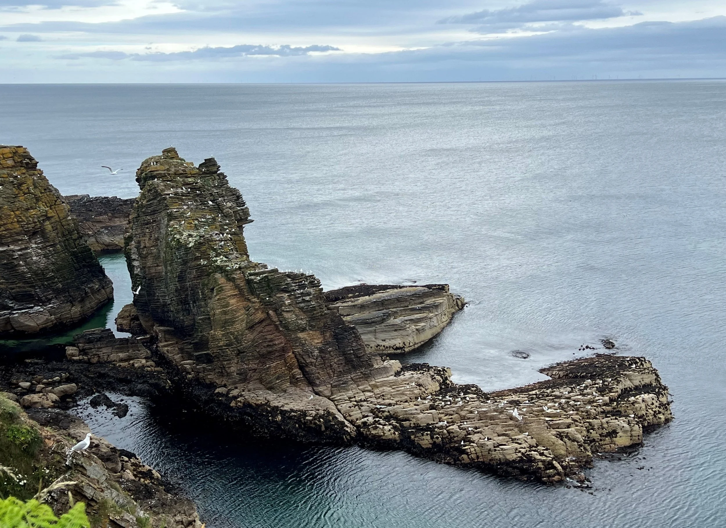 7a North of Dunbeath.JPG