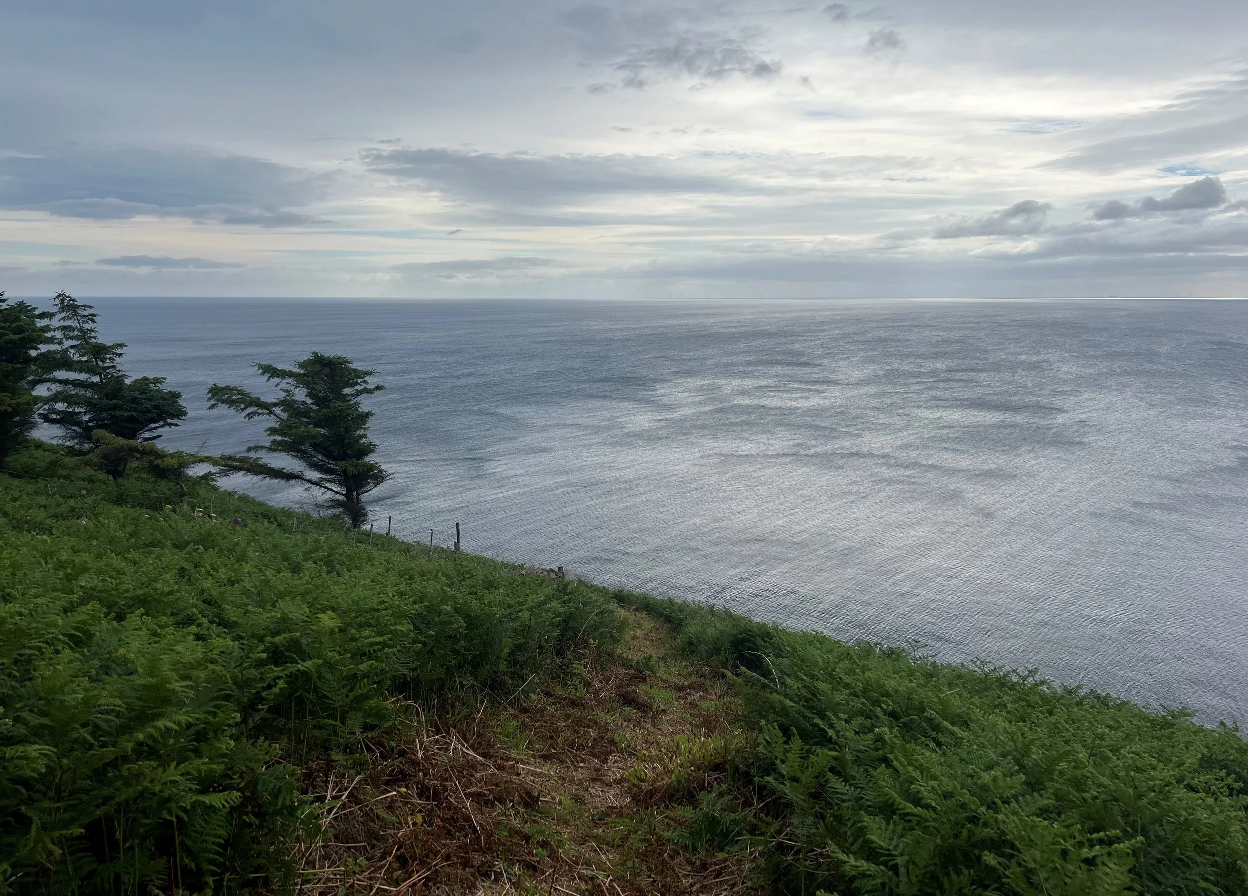 7 Path near Waligo.JPG