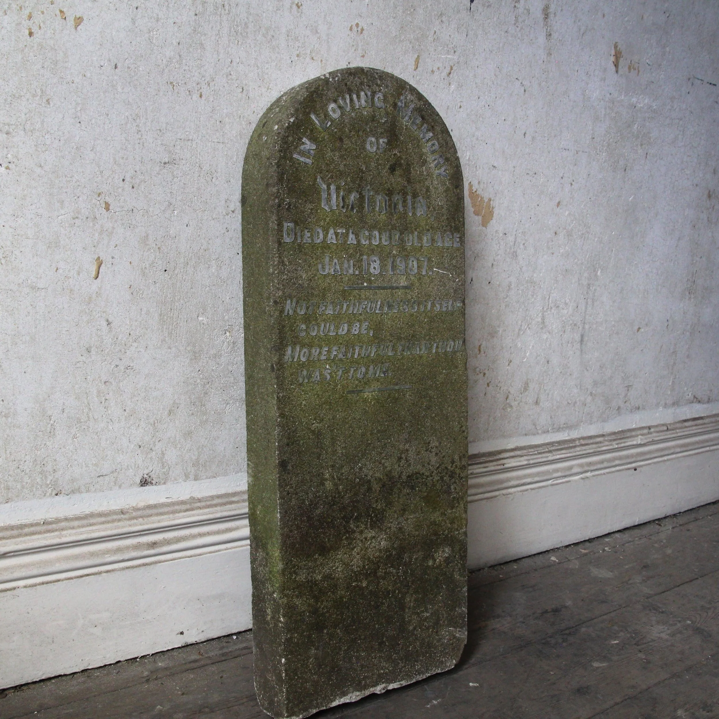 IMG_5178.CR2.jpg