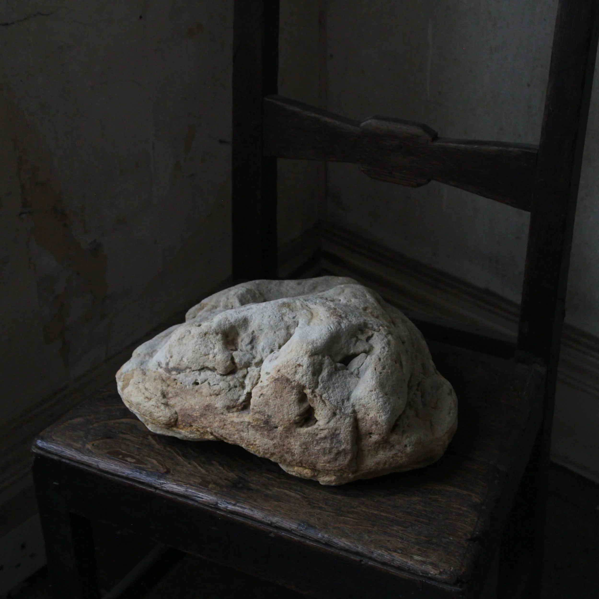 IMG_2742.CR2 (1).jpg