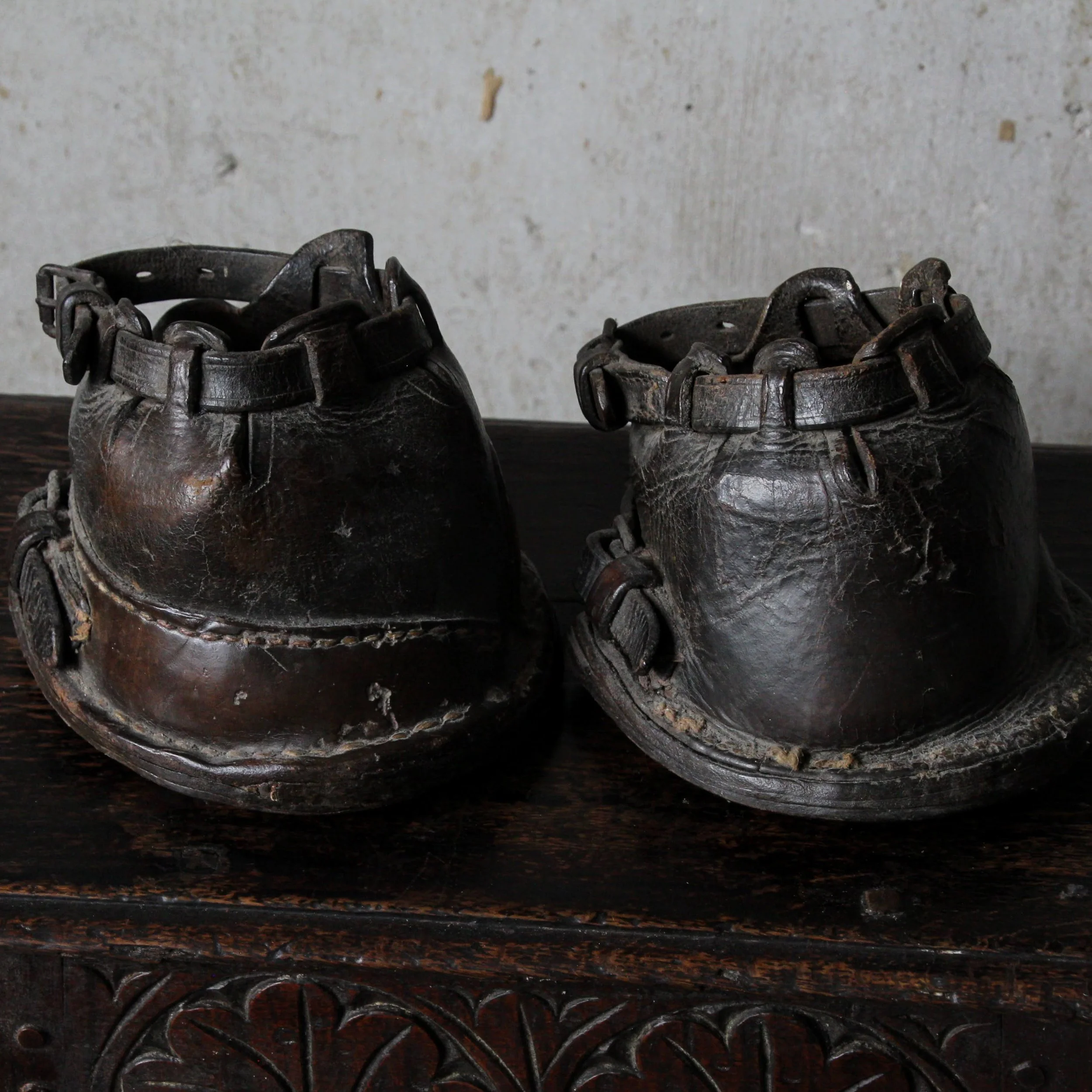 IMG_7596.CR2.jpg