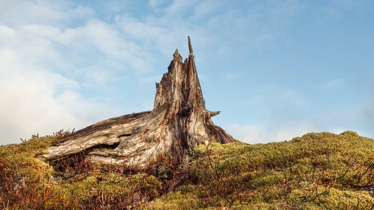 runekarlsen.com-0J0A9976-HDR.jpg