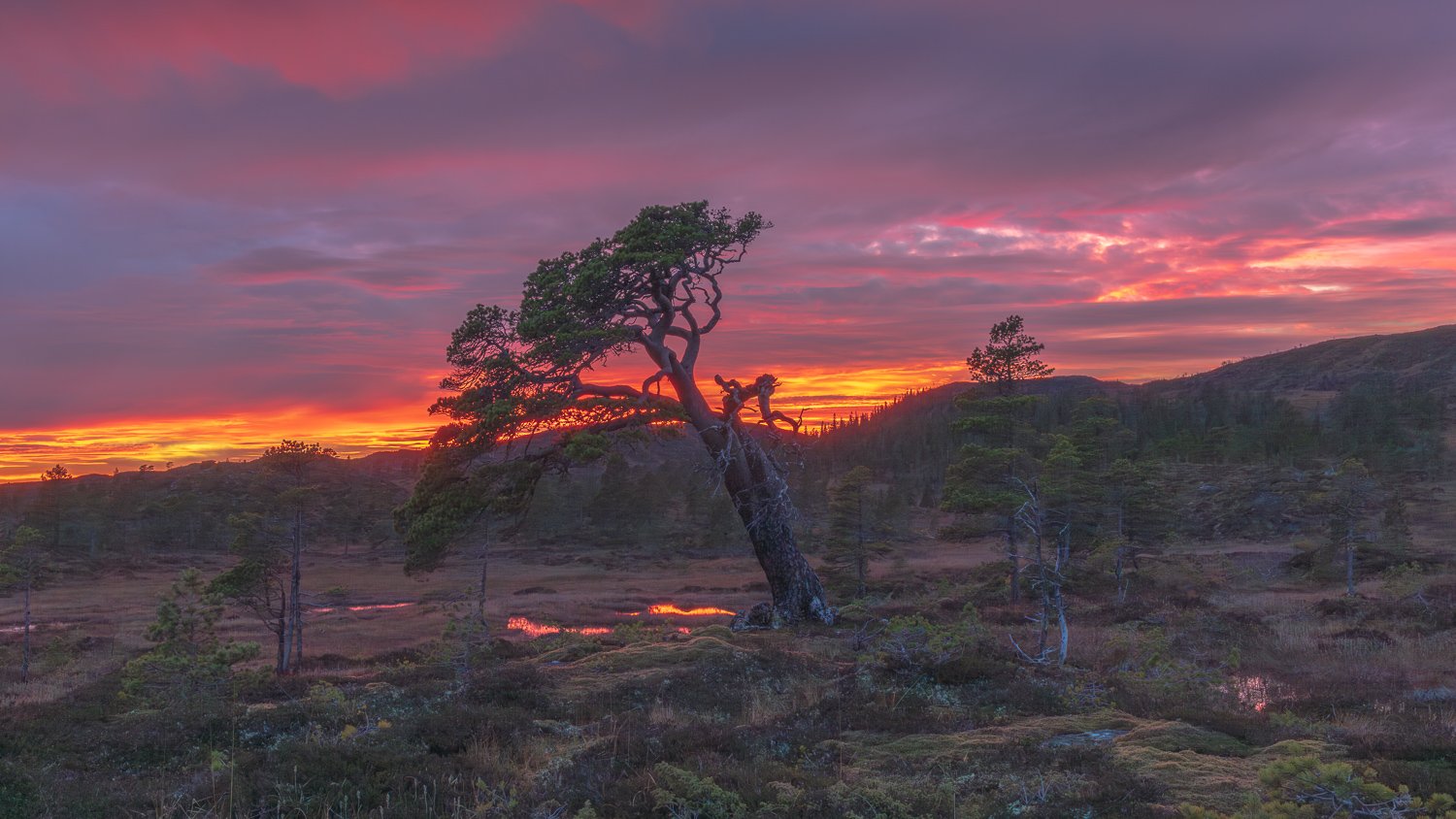 runekarlsen.com-0J0A8502-Forbedret-NR.jpg
