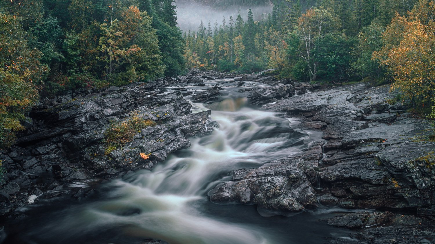 runekarlsen.com-0J0A8608.jpg