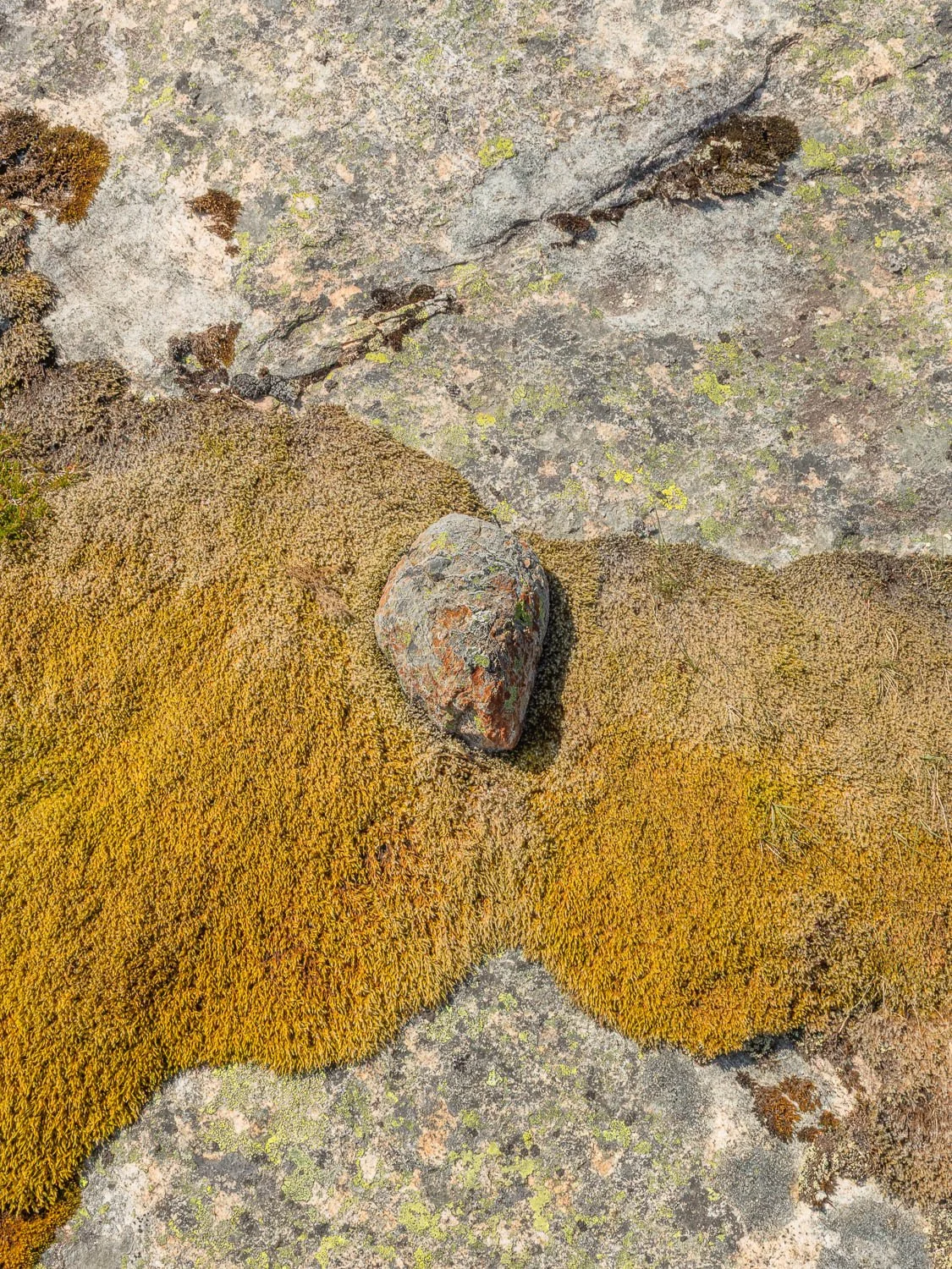 runekarlsen.com-0J0A9779.jpg