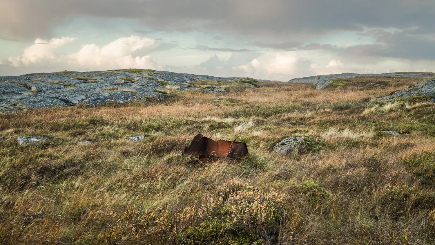 runekarlsen.com-0J0A9291-Edit.jpg