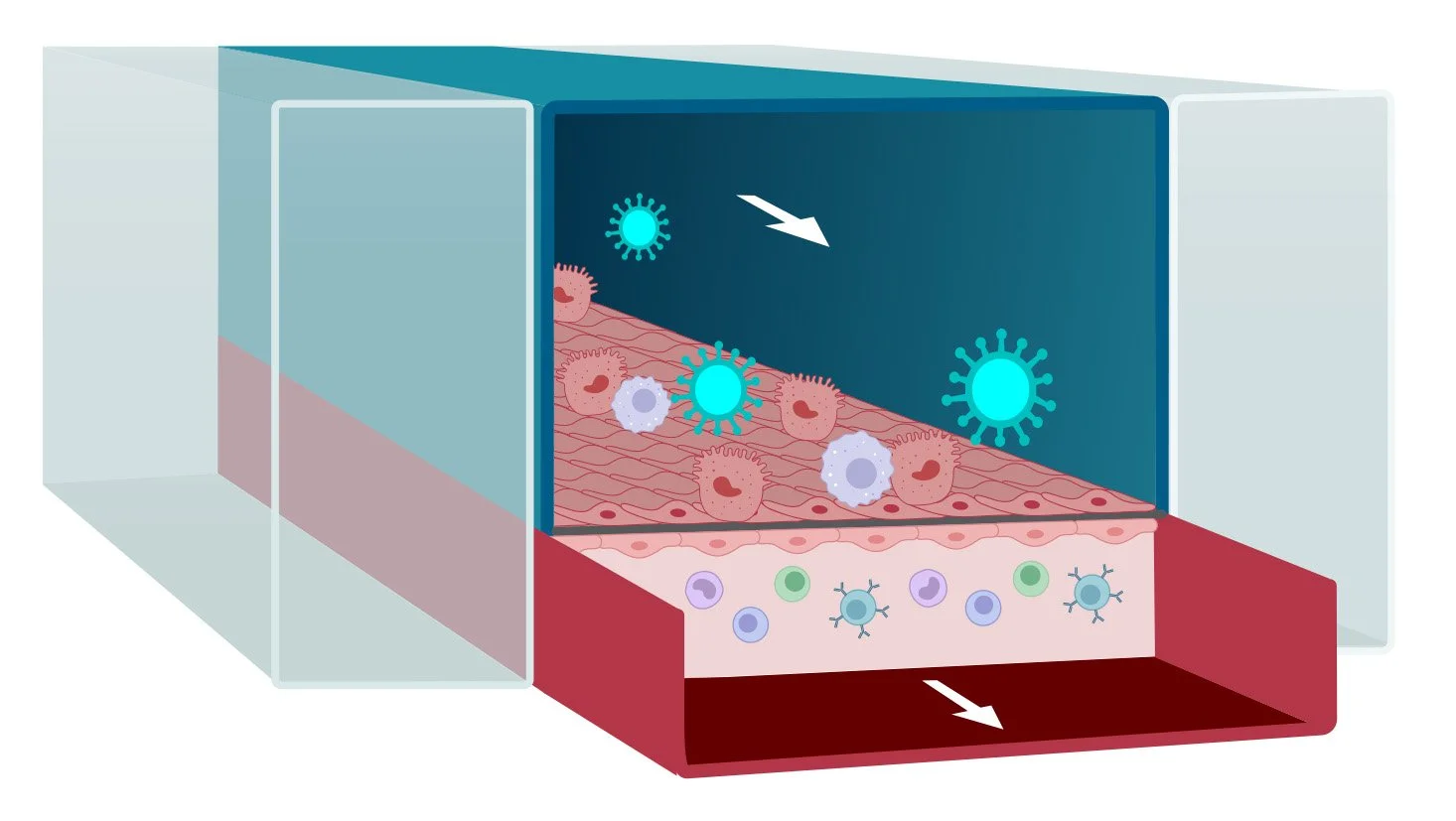 Yuenching 5_29_2025.jpg