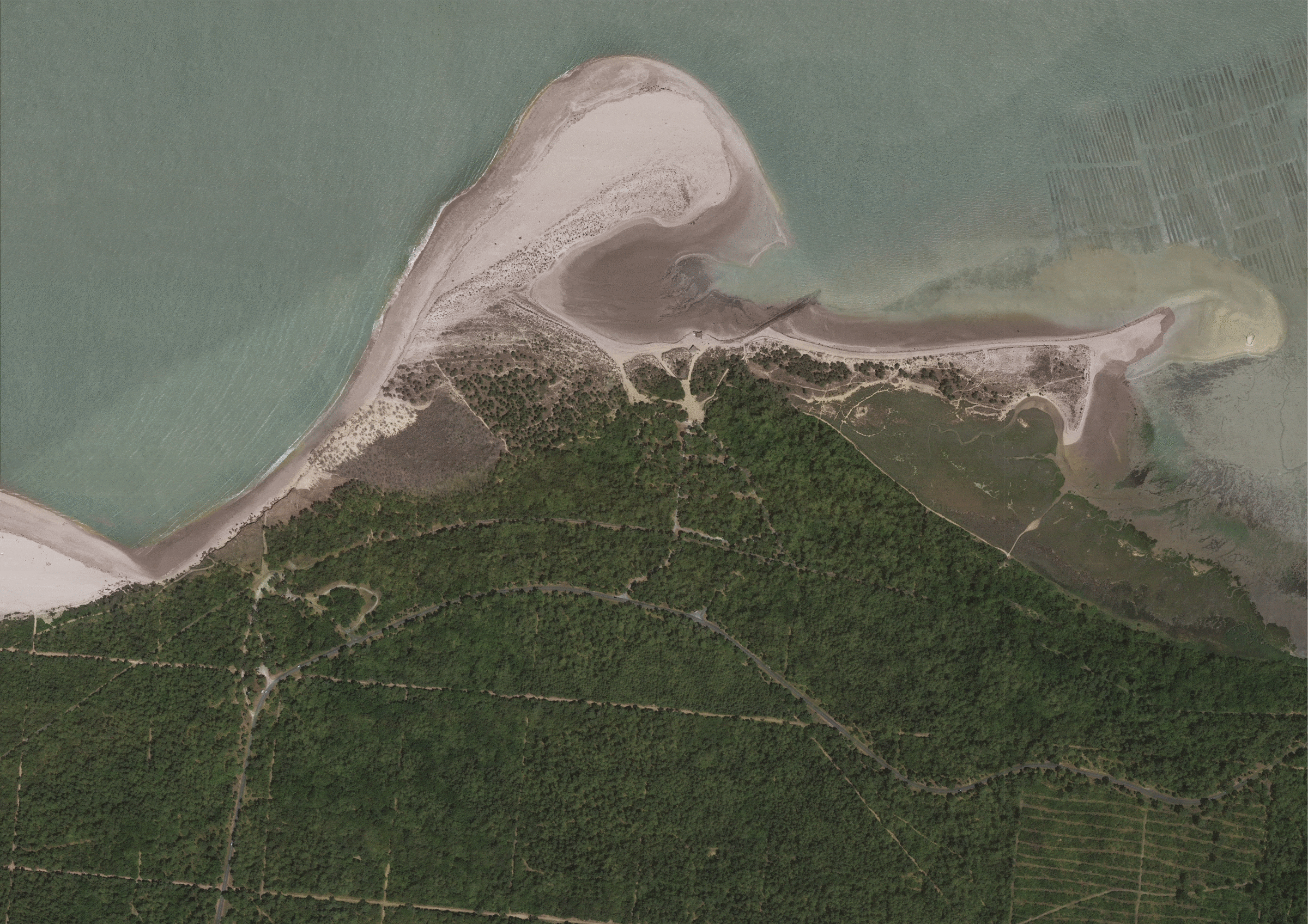 LA TREMBLADE PARMI LES LAURÉATS D’UN APPEL À PROJETS Le ministère de la Transition écologique a désigné la commune de La Tremblade ainsi que 11 autres collectivités françaises lauréates d’un appel à projets visant à soutenir des solution