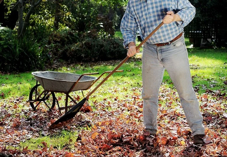 Yard Work Safety Tips: A Chiropractor's Guide  