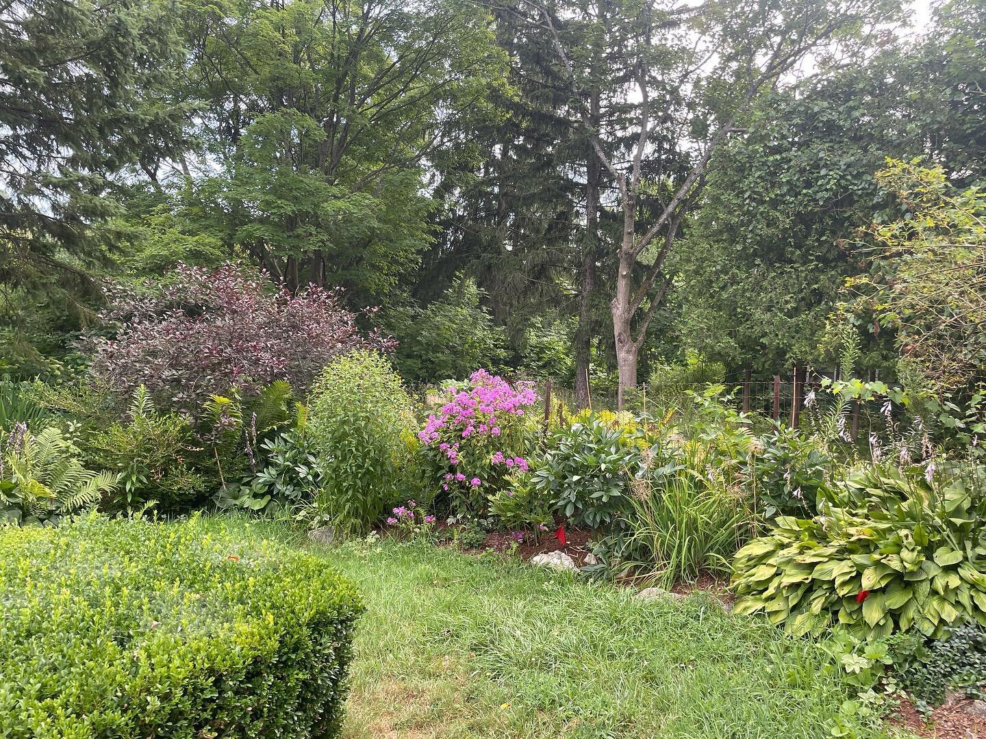Wednesday&rsquo;s Garden 🪴