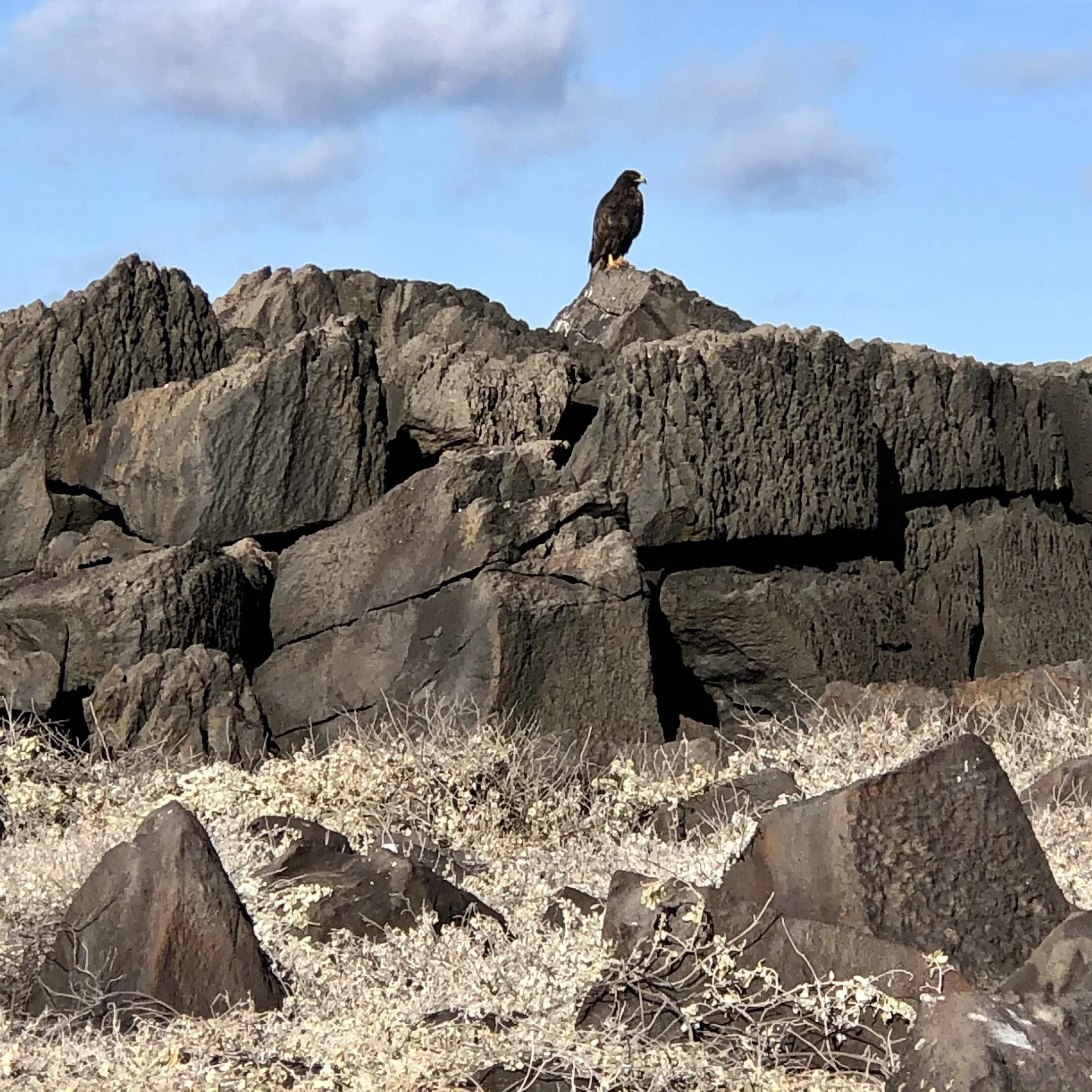 The Three Gunas: Rajas, Tamas, Sattva