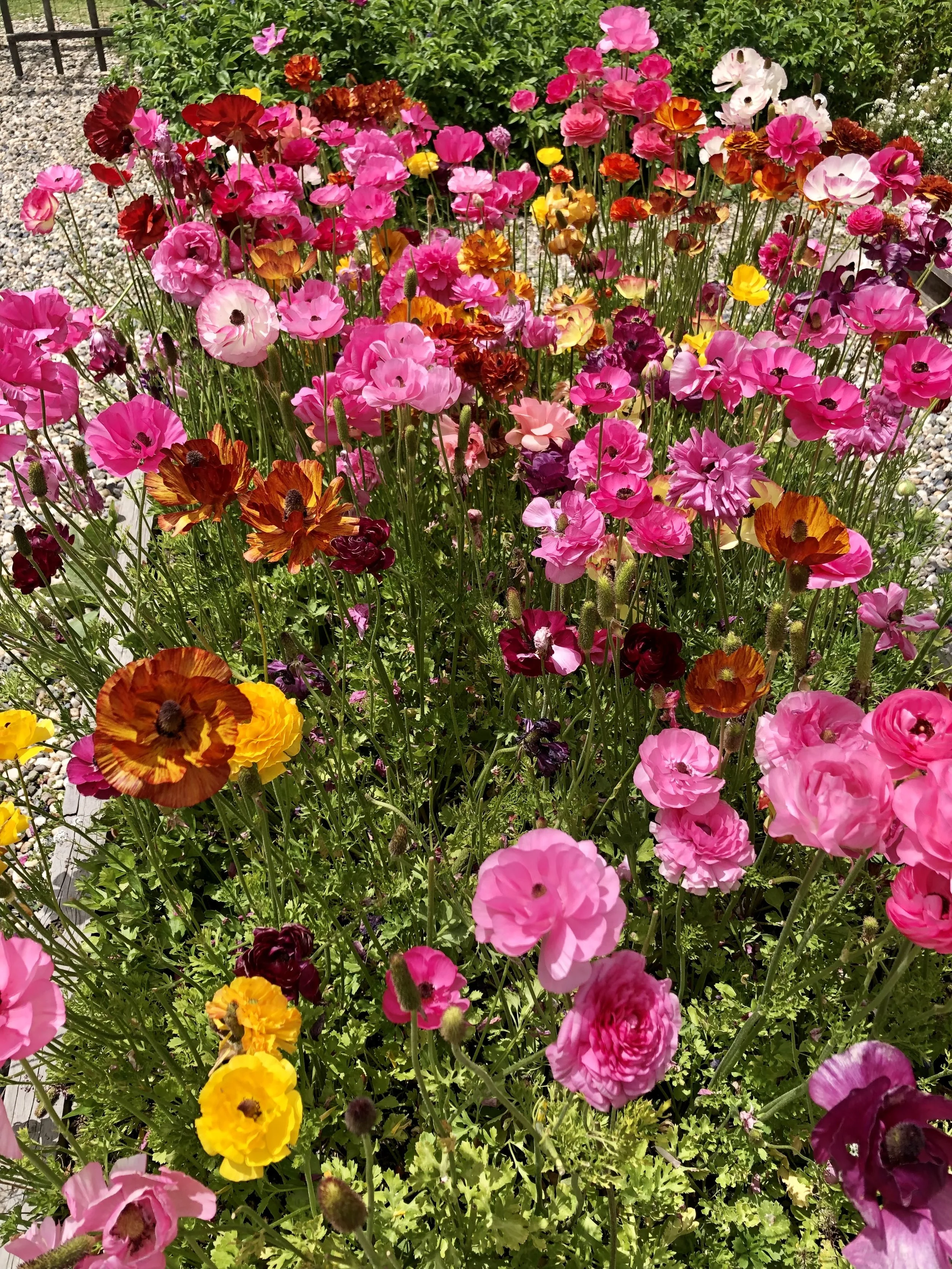 Discover the Power of Mindfulness: Unlocking Inner Peace and Mental Clarity for a Healthier You