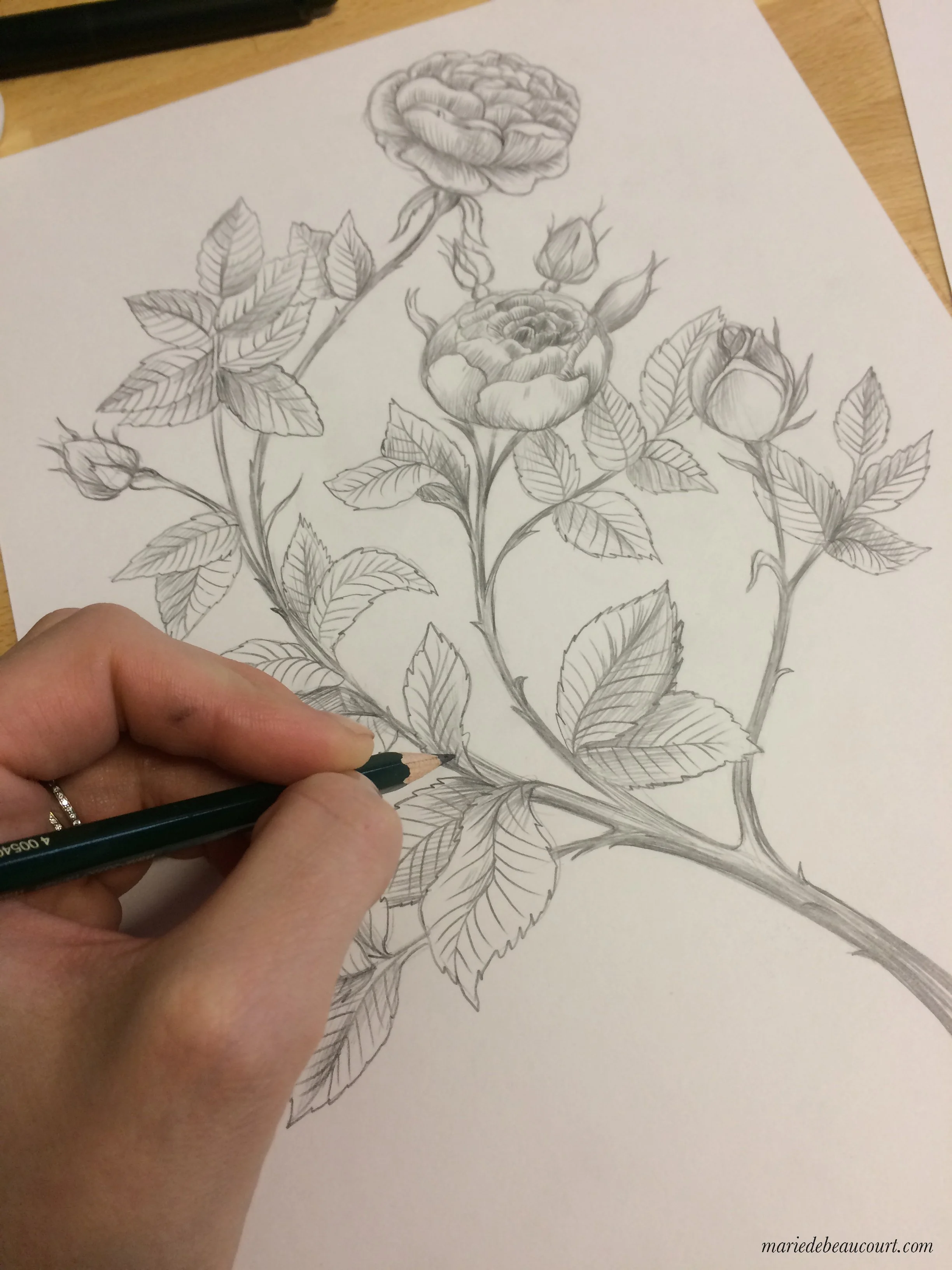 wip7 copy.jpg