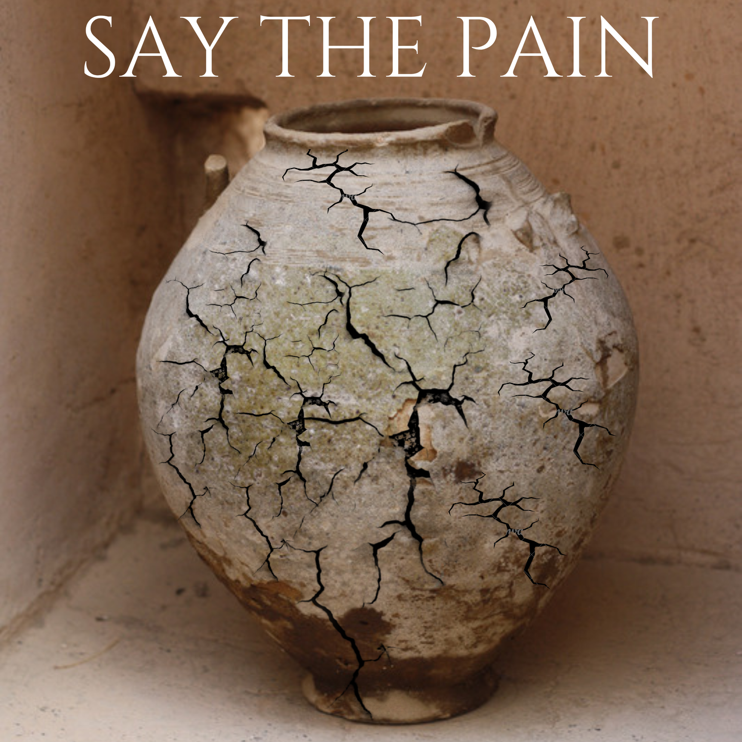Say the Pain cover art