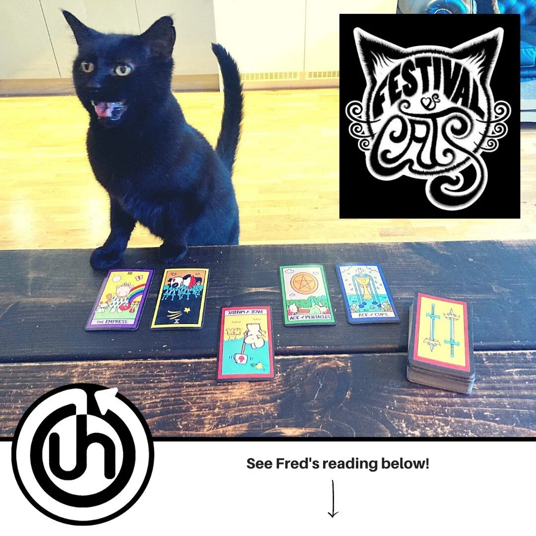 @URBANHEALER&nbsp;MARGATE @festival_of_cats EDITION

Fred has received the clarion call from the moonlit coastal alleyways of #Margate that his #tarot guidance was needed.&nbsp;

Let's face it, post-pandemic (if such a thing exists) we're all feeling