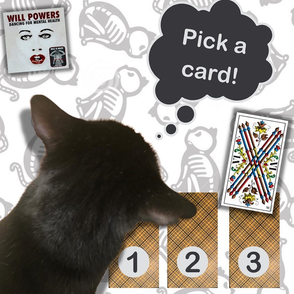 IT&rsquo;S FRED FRIDAY! Pick a card in the comments!

Sigh! It's so bloody easy being a cat. We're just delighted about everything they do. Fred only has to poo and we're on our feet applauding (it's been known!).

He's brazen with it too - just love